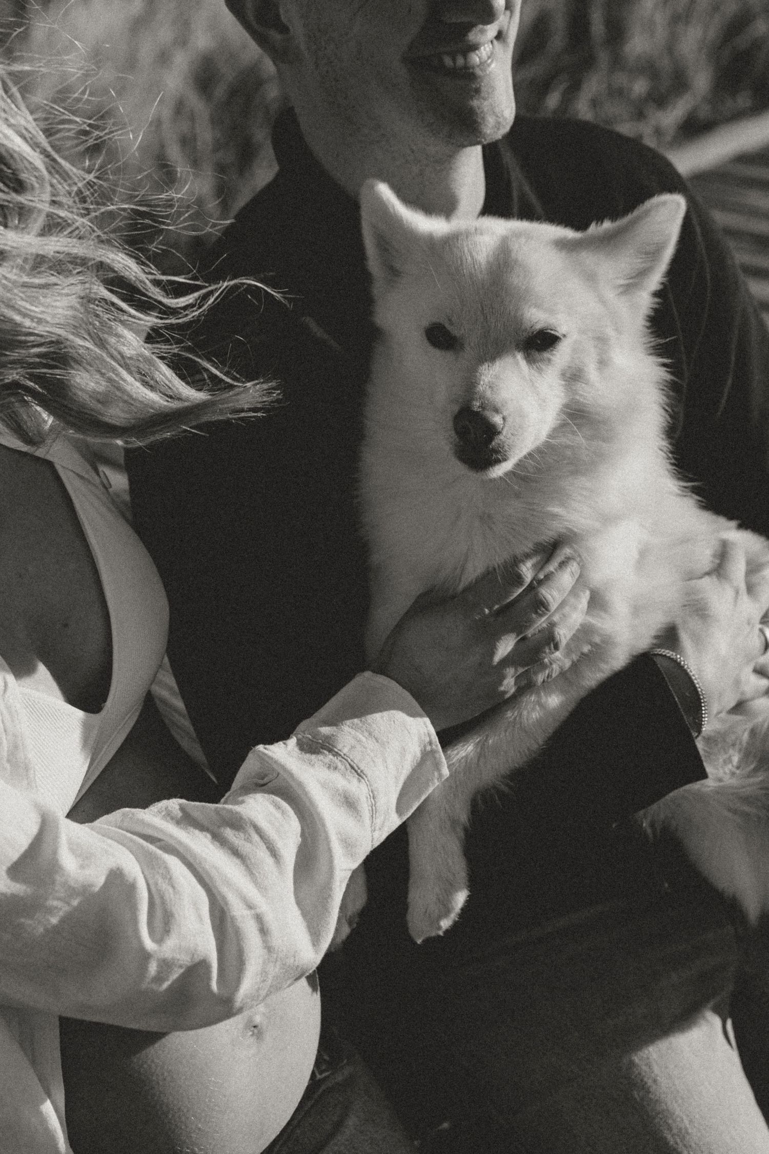 A white fluffy dog being petted and held while sitting on someone's lap in a black and white photograph.