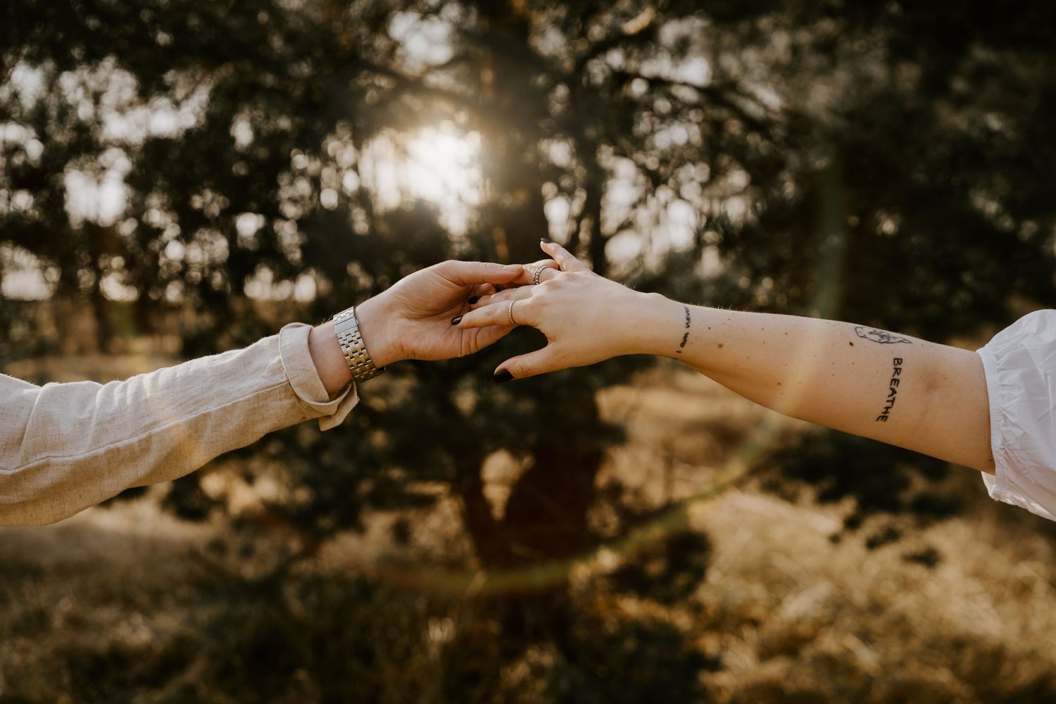 Two hands reaching towards each other with delicate bracelets and tattoos backlit by golden sunlight through trees.
