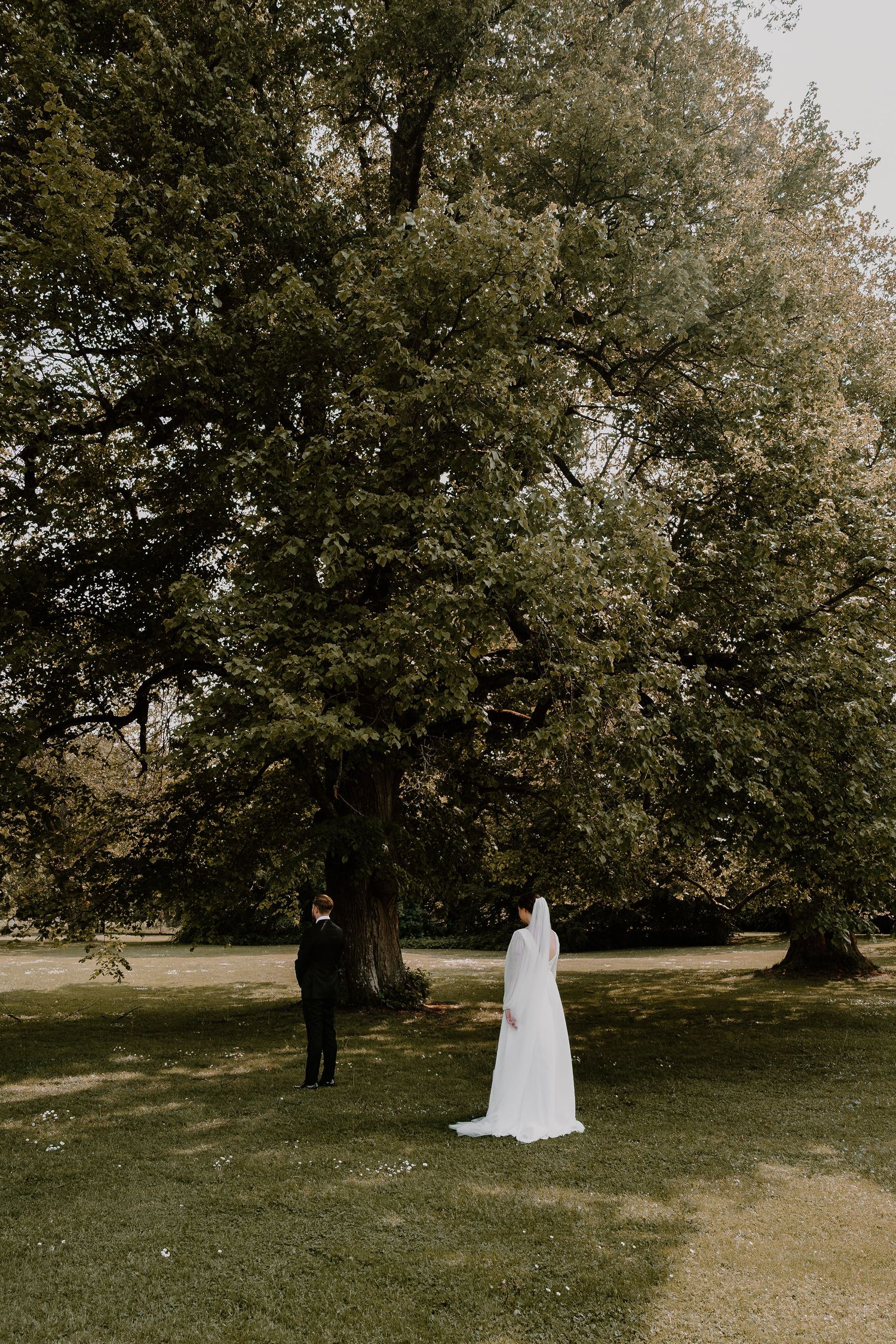 A person in a flowing white dress walks among large mature trees on a grassy lawn in soft natural lighting.