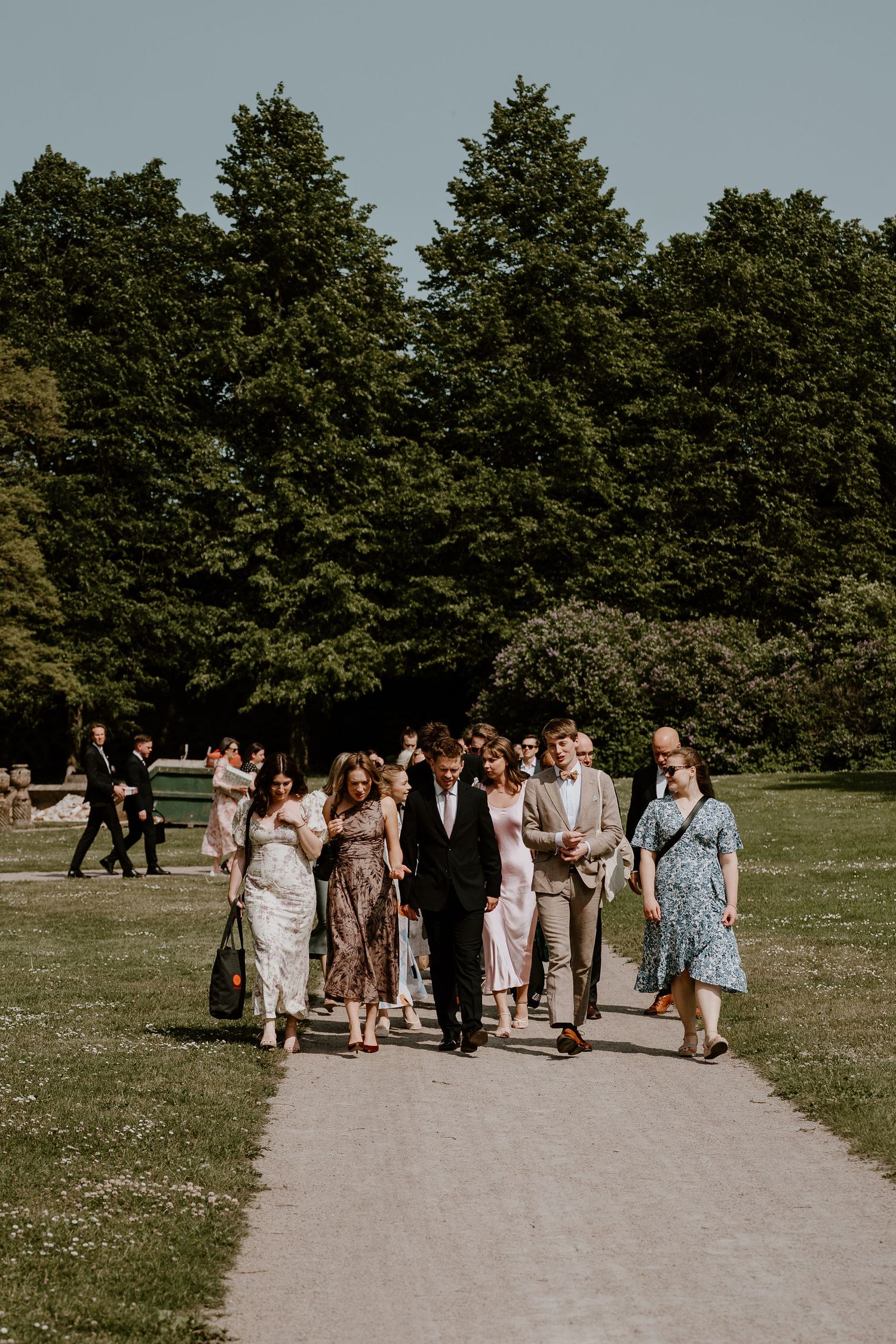 A group of wedding guests walk together on a garden path surrounded by tall evergreen trees on a sunny day.