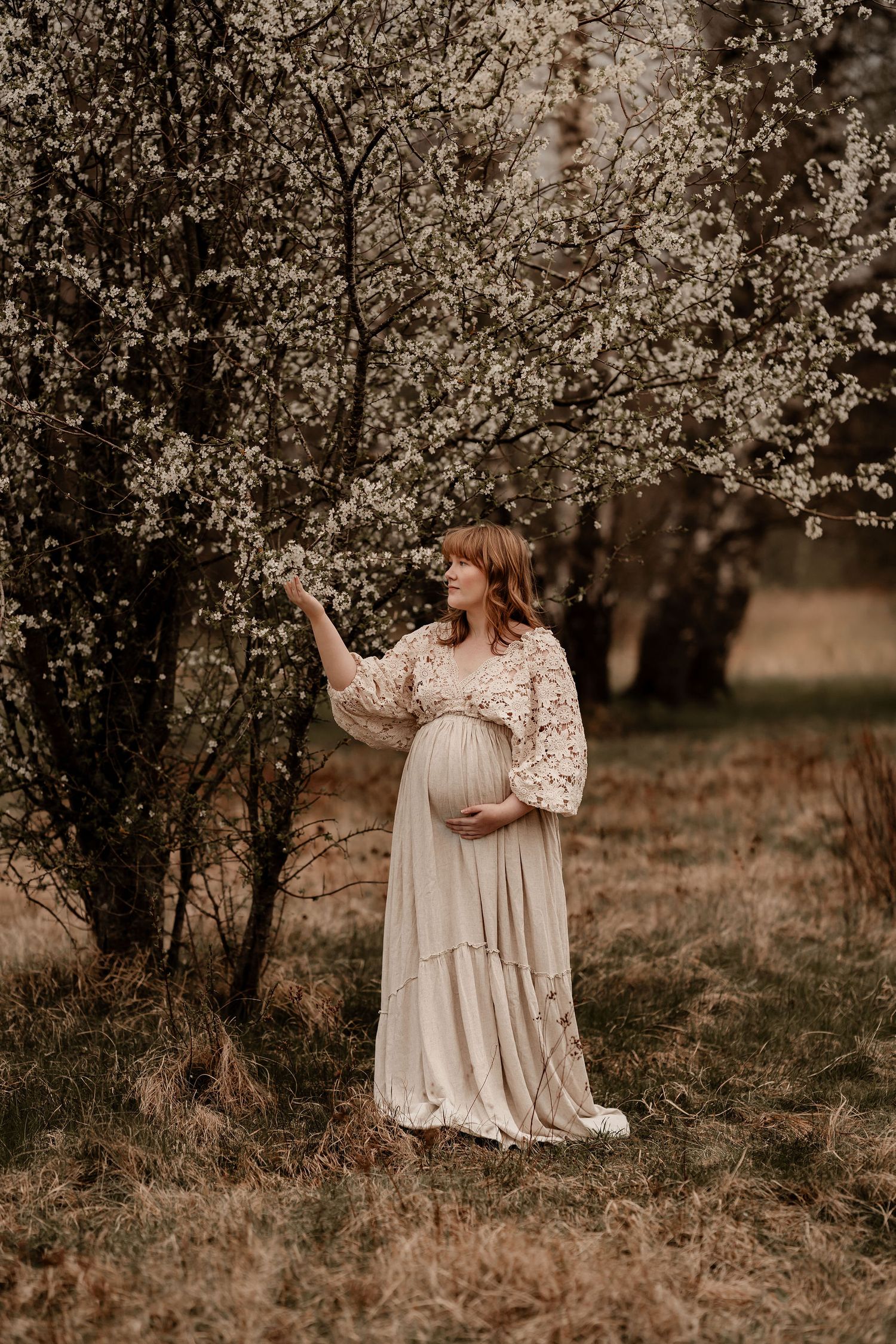 A pregnant woman in a flowing white lace dress stands among blooming spring trees in a dreamy outdoor setting.