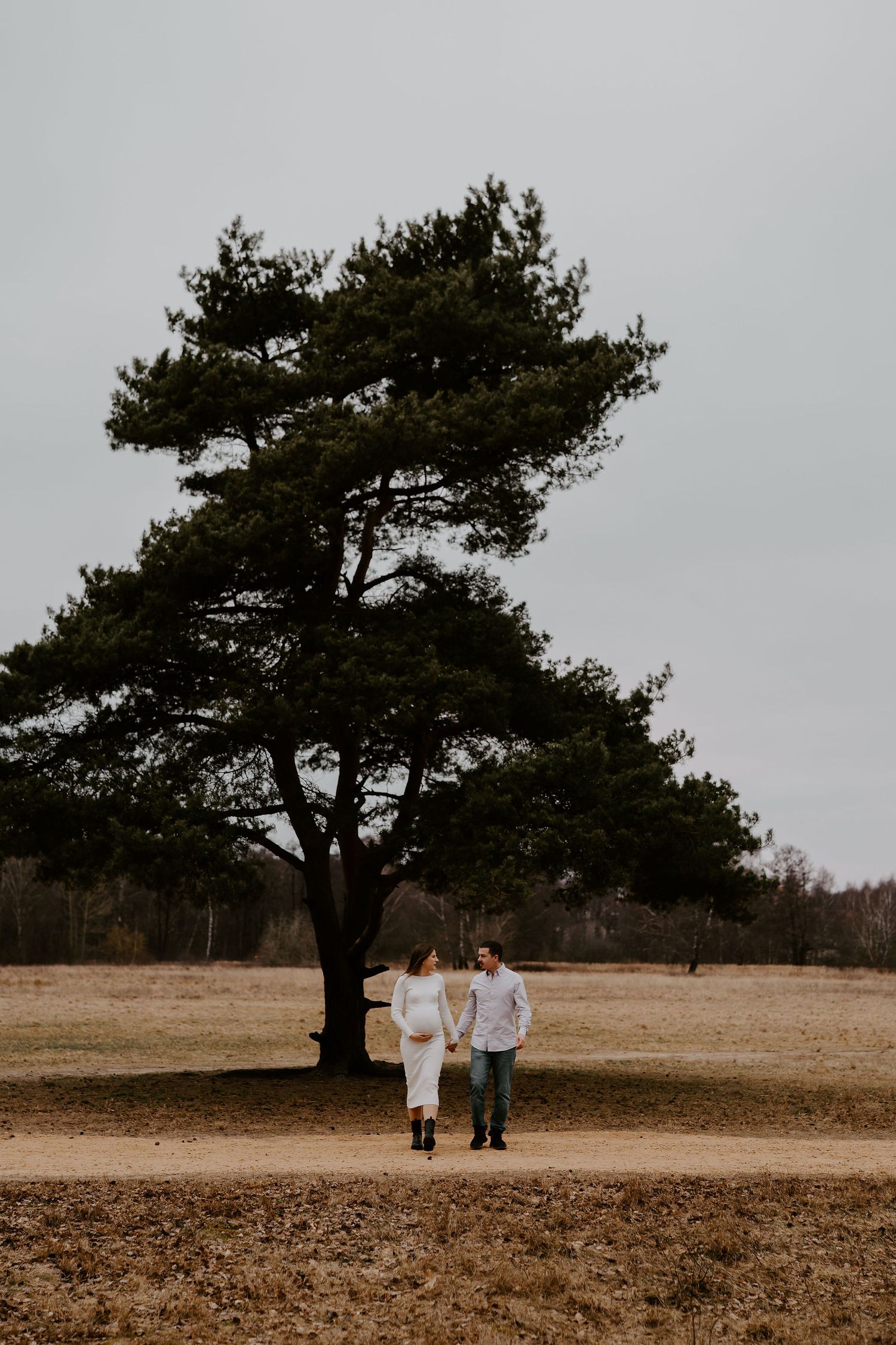 A couple stands beneath a large solitary pine tree in a serene field during overcast weather.