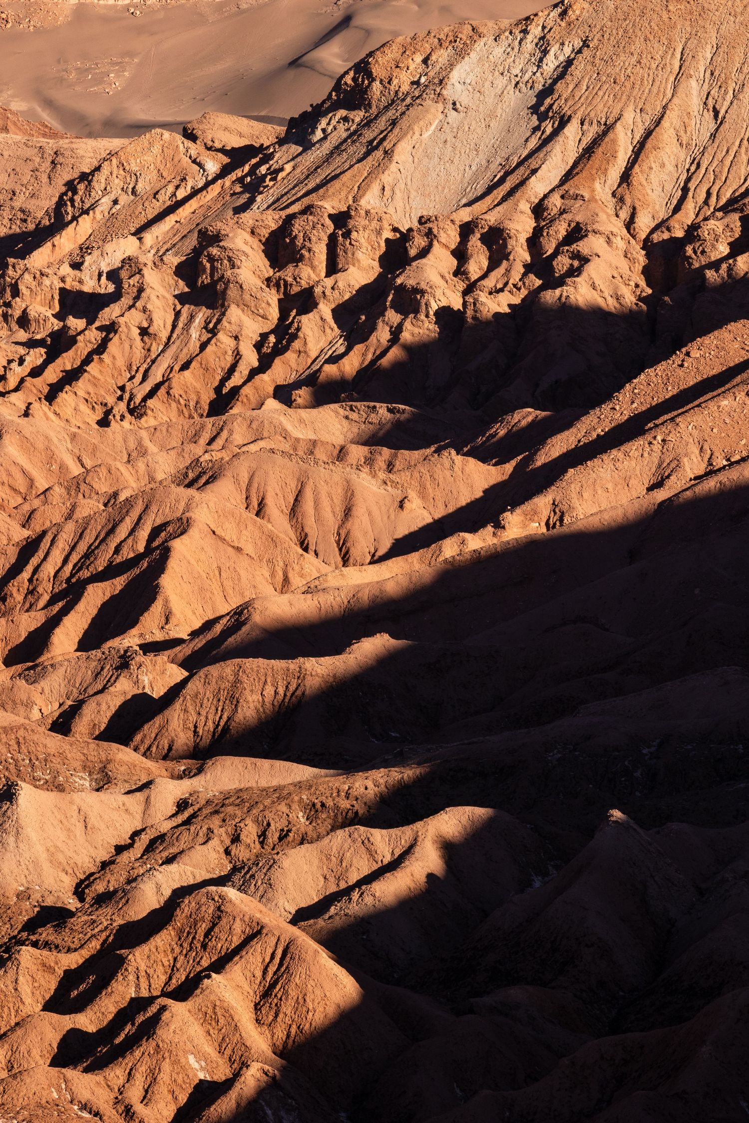 Aerial view of rugged desert terrain with deep shadows cast across eroded sandy ridges and valleys in warm sunlight.