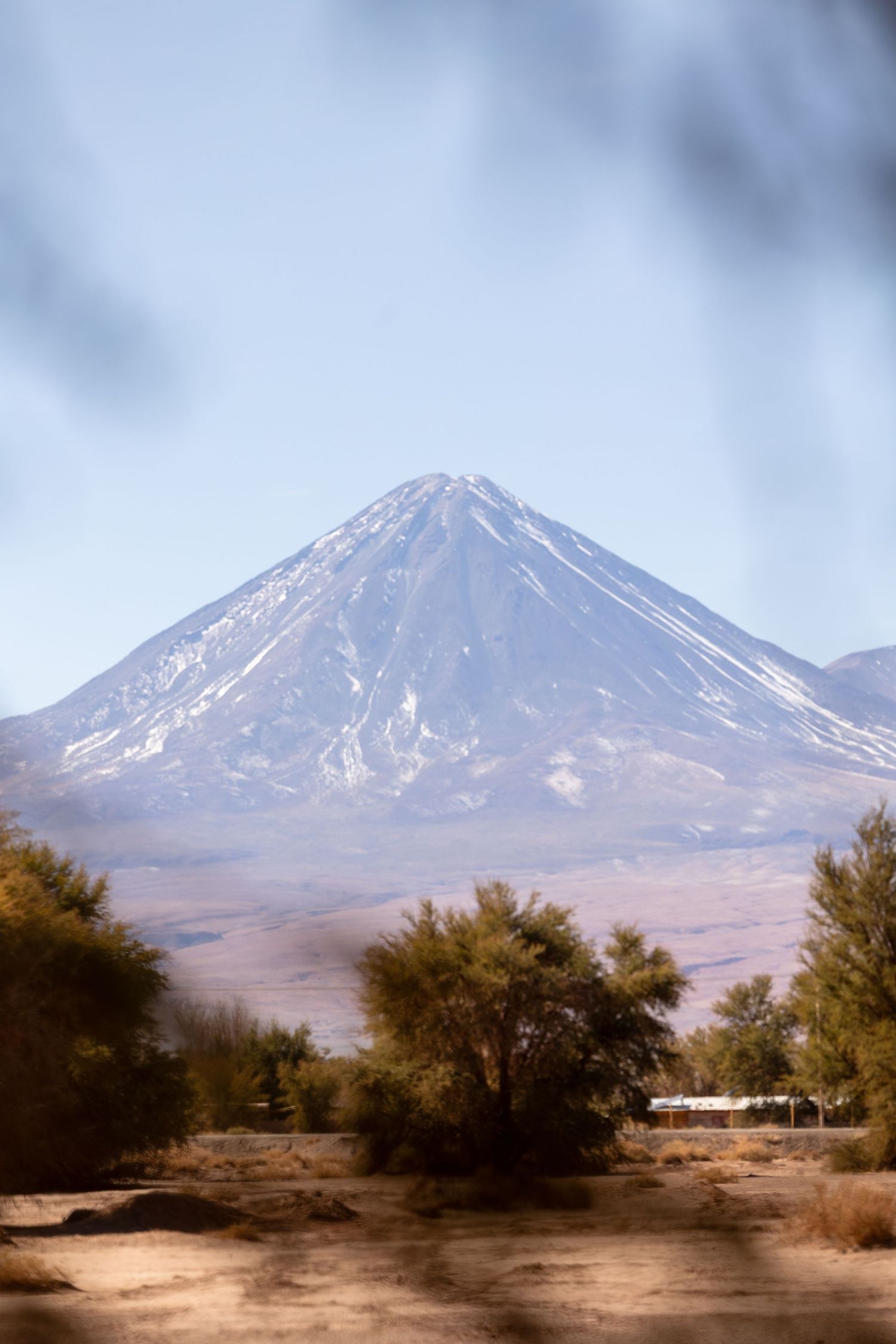 A snow-capped volcanic mountain rises above desert terrain with scattered trees and bushes in the Atacama Desert landscape.