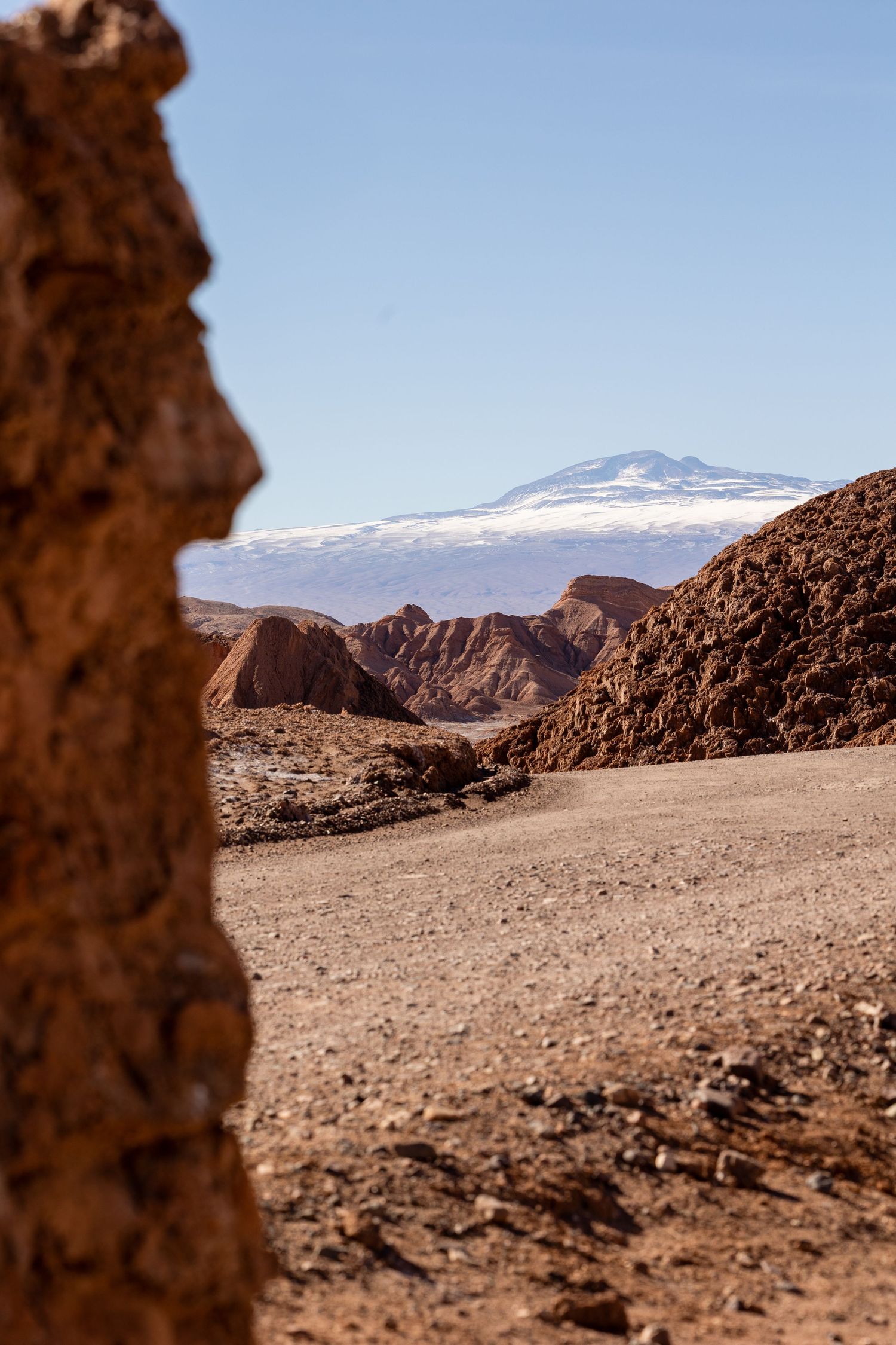 Rugged desert landscape with rocky terrain and snow-capped mountains visible in the distance under a bright blue sky.