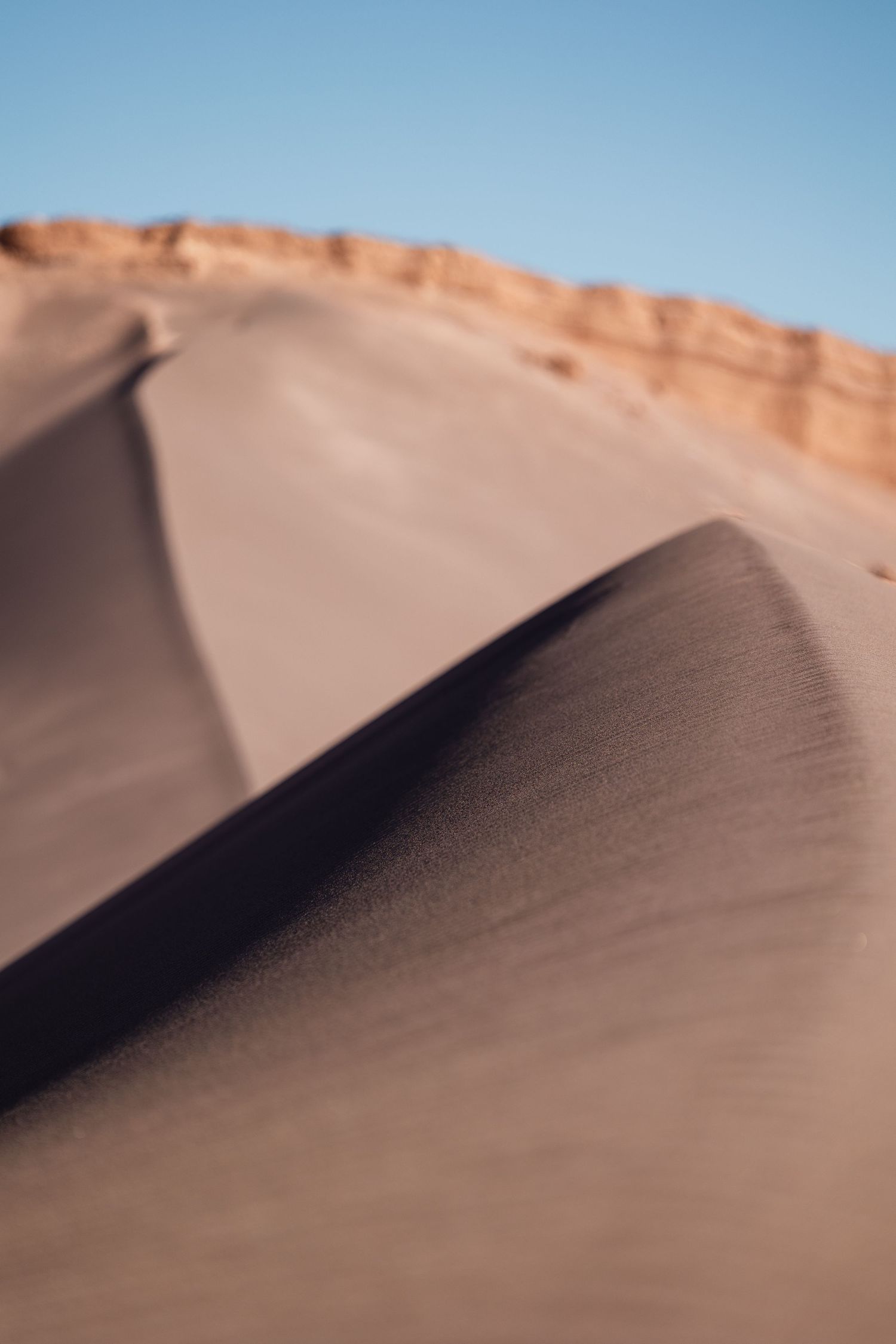 Smooth desert sand dunes form graceful curves and shadows against a clear blue sky in golden sunlight.