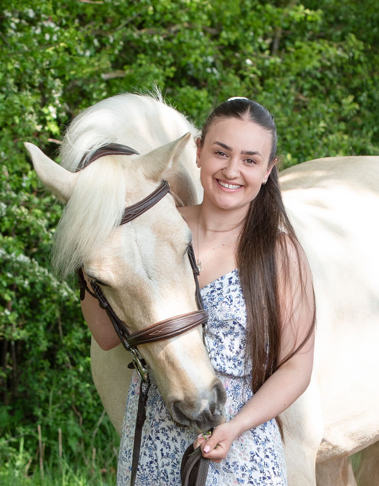 equine canine dog horse pet animal portrait photography photographer images photoshoot Bedfordshire UK
