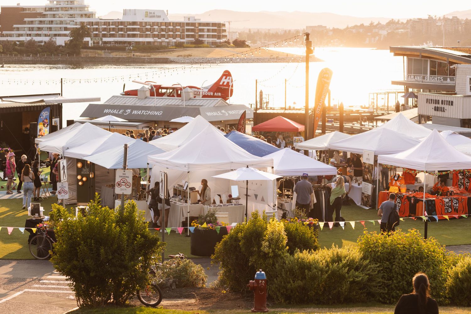 Outdoor market with white tents and vendor booths along waterfront during golden sunset, with seaplane in background.