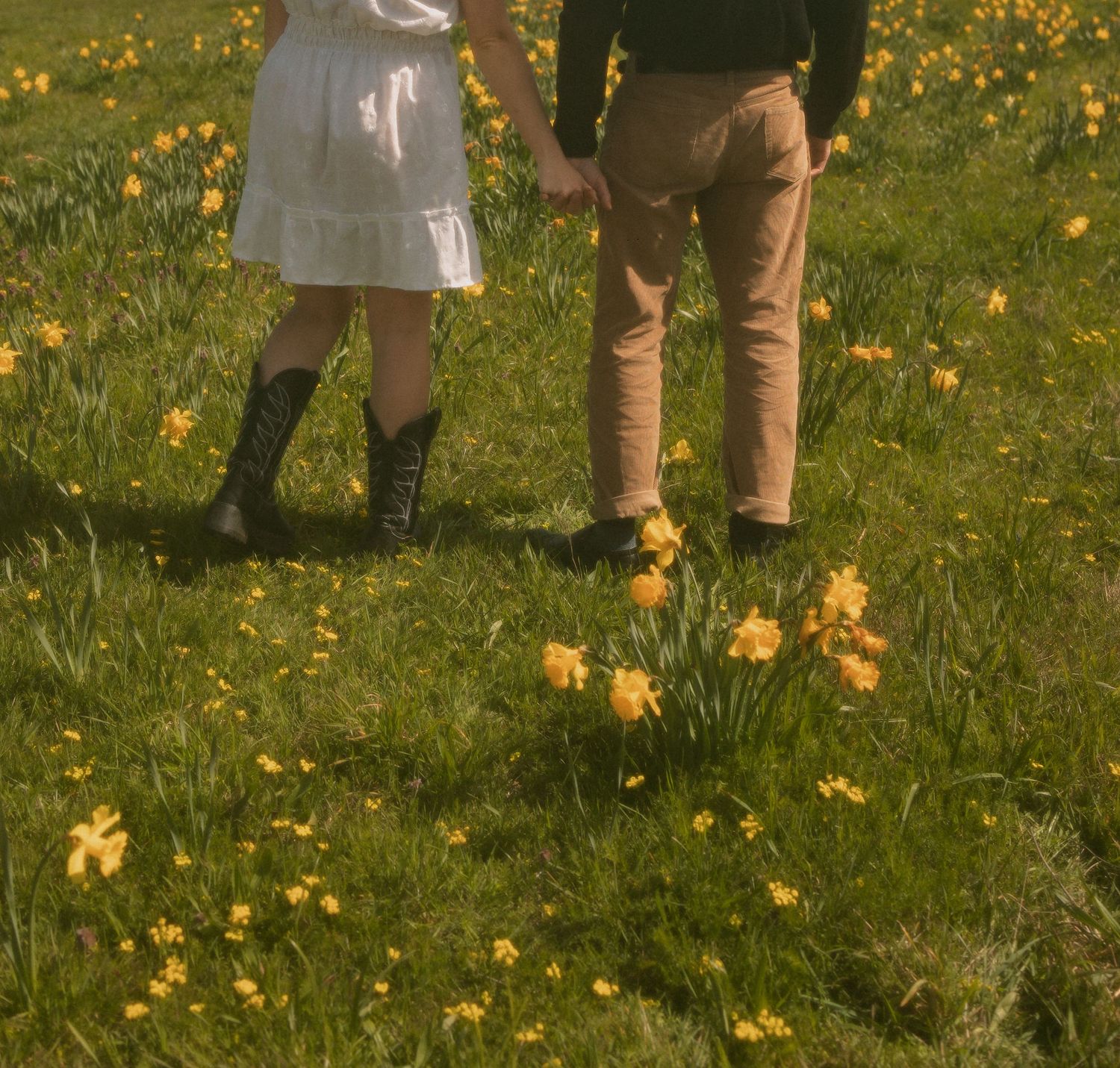 Two pairs of legs stand in a field of blooming yellow daffodils on green grass.