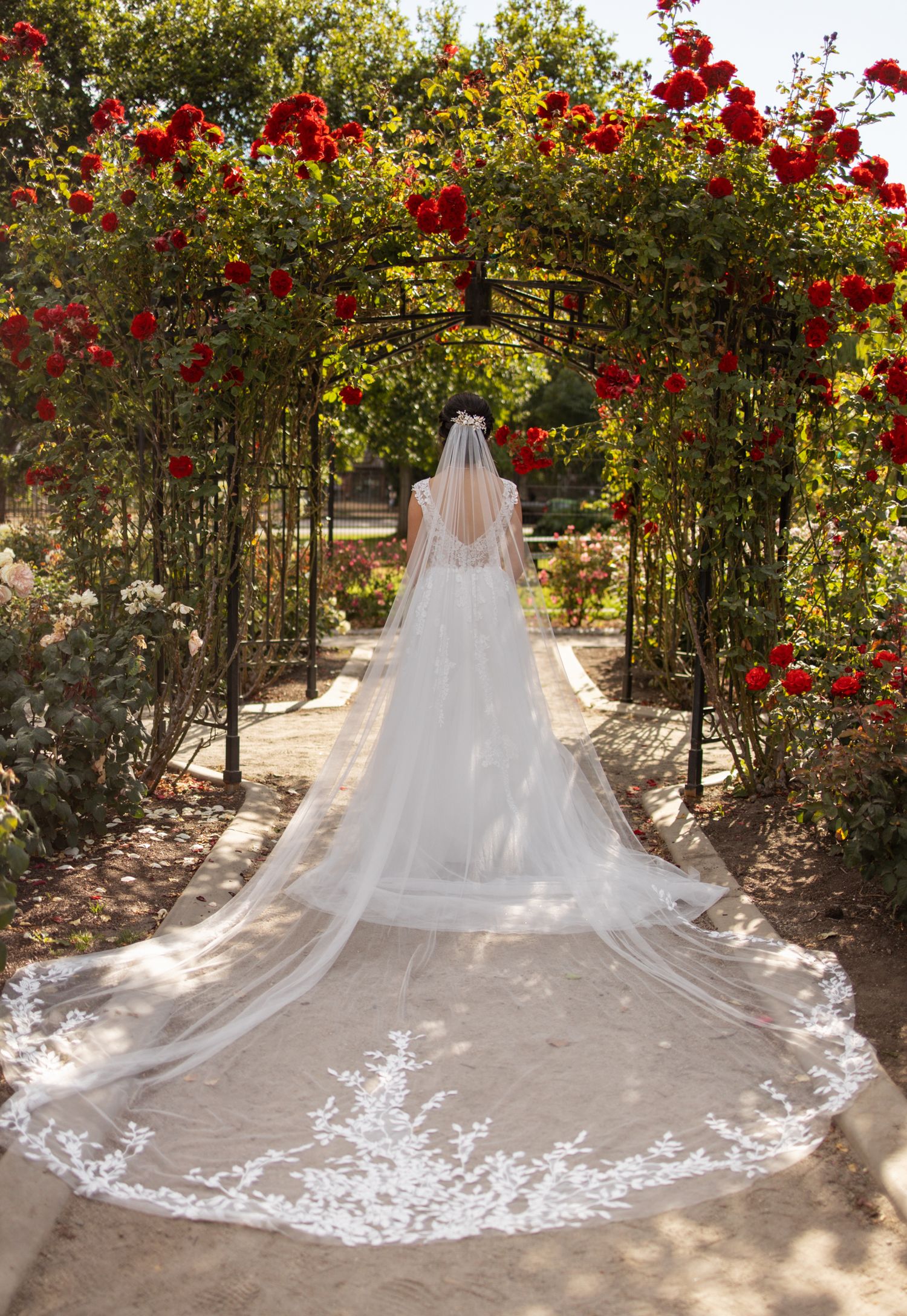 A dramatic wedding dress and veil trail beneath a rose-covered garden archway.