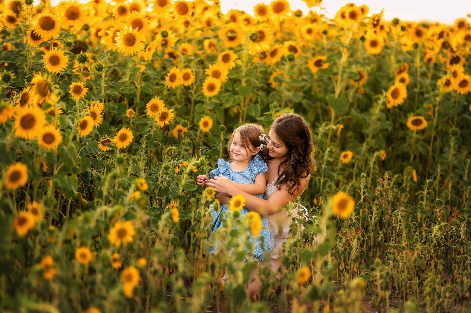A vibrant sunflower field in golden evening light with two figures embracing among the tall yellow blooms.