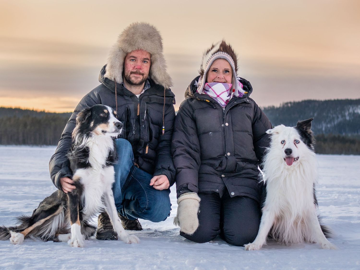 Vinterporträtt av par med två border collies som sitter på snöig mark i solnedgången.