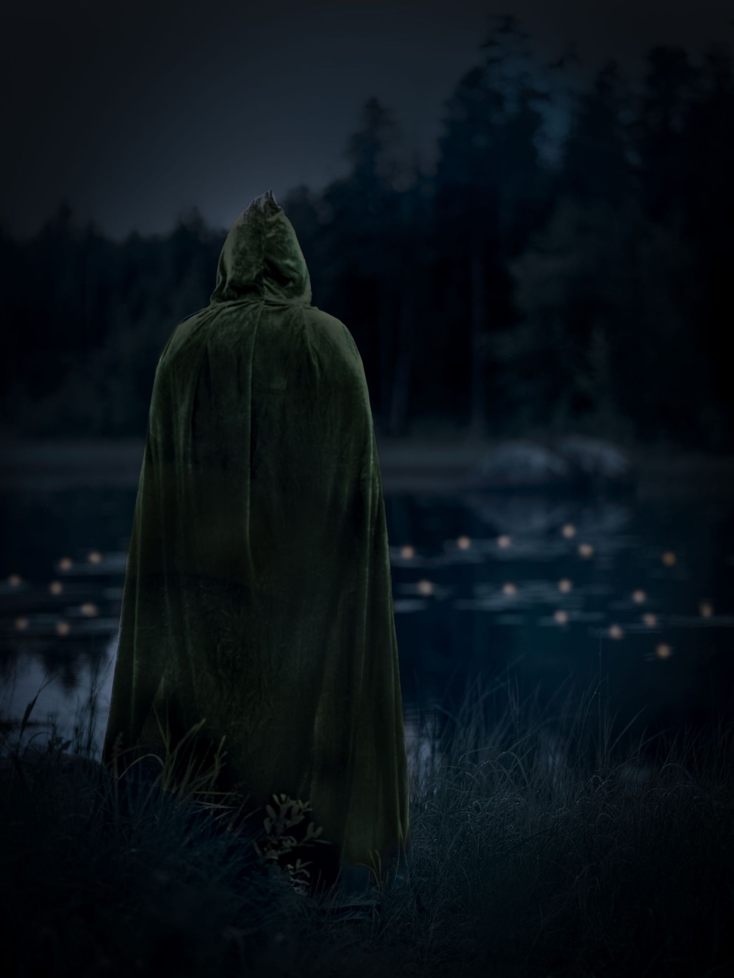 A mysterious figure in a dark green cloak stands silhouetted against a misty forest landscape at twilight.