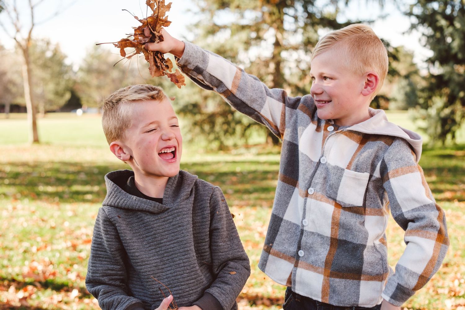 Brother playfully pouring leaves over brother's head, both smiling.