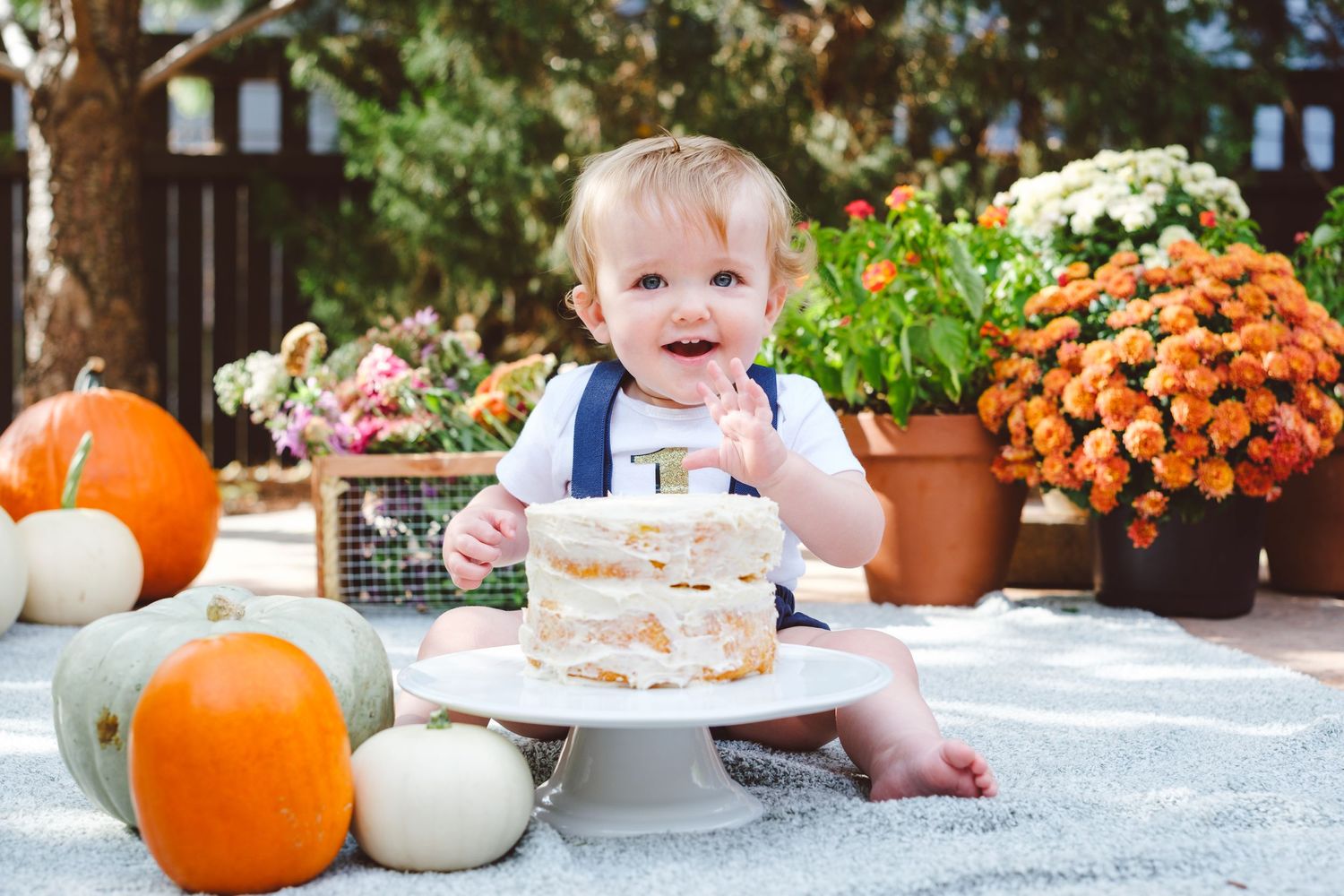 Outdoor cake smash in Denver metro area family's backyard, one year old eating cake, surrounded by flowers and pumpkins.