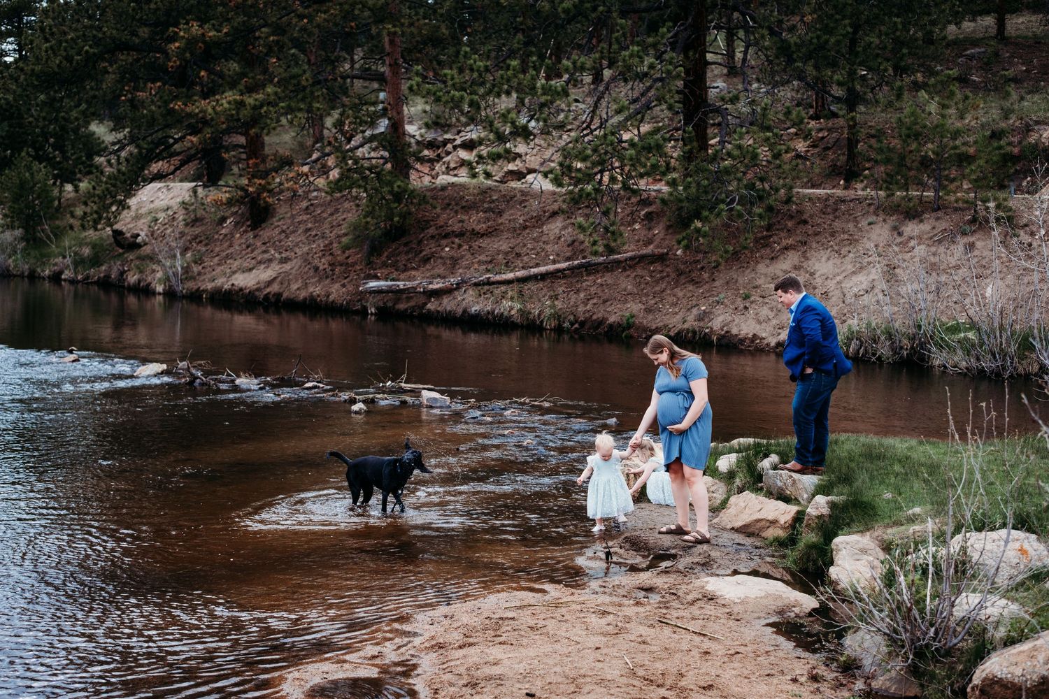 Playful family of father, pregnant mother, two toddler daughters and black lab playing in river at Evergreen Lake House.