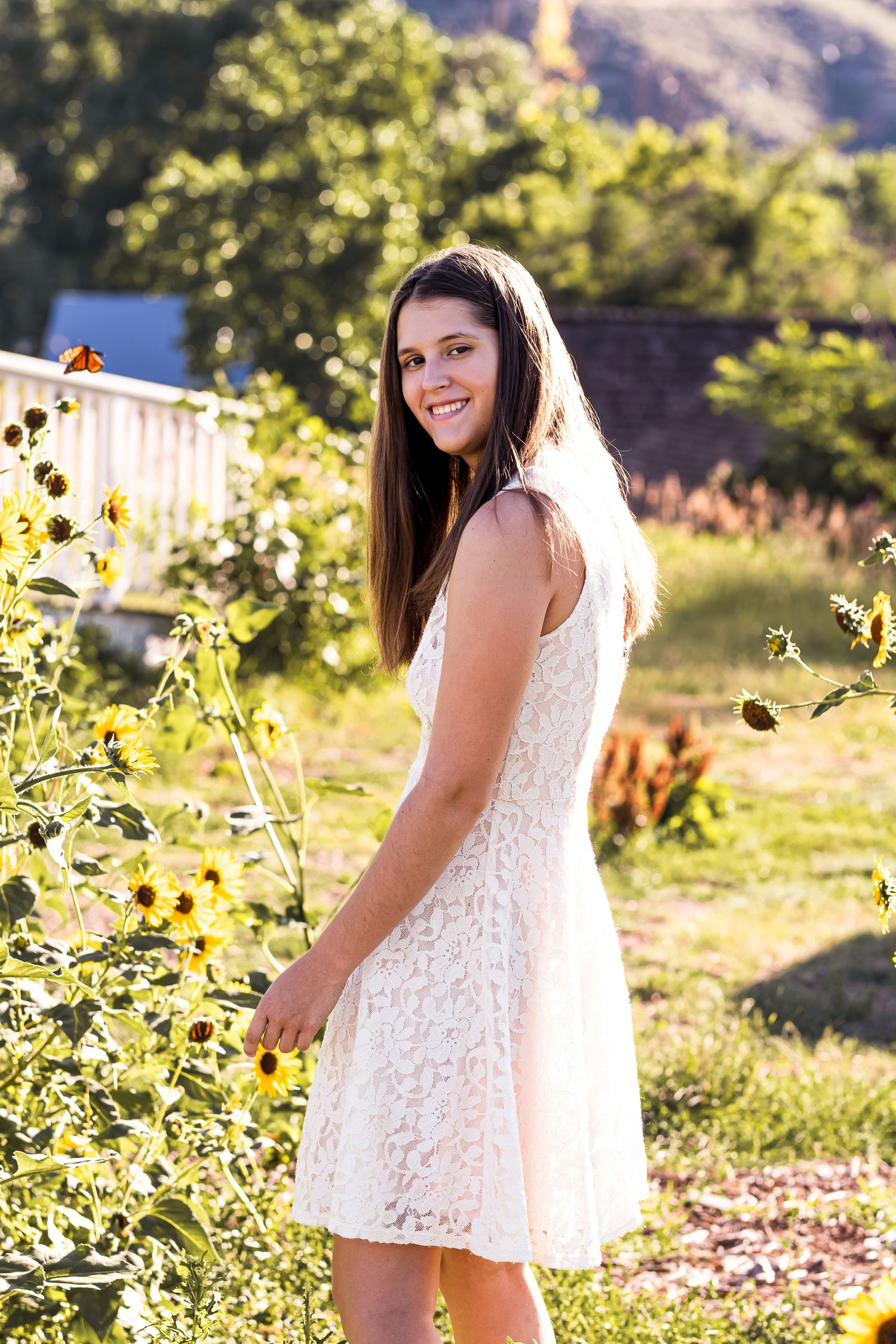 Senior portrait in sunflower patch in downtown Golden, butterfly flying near sunflowers.