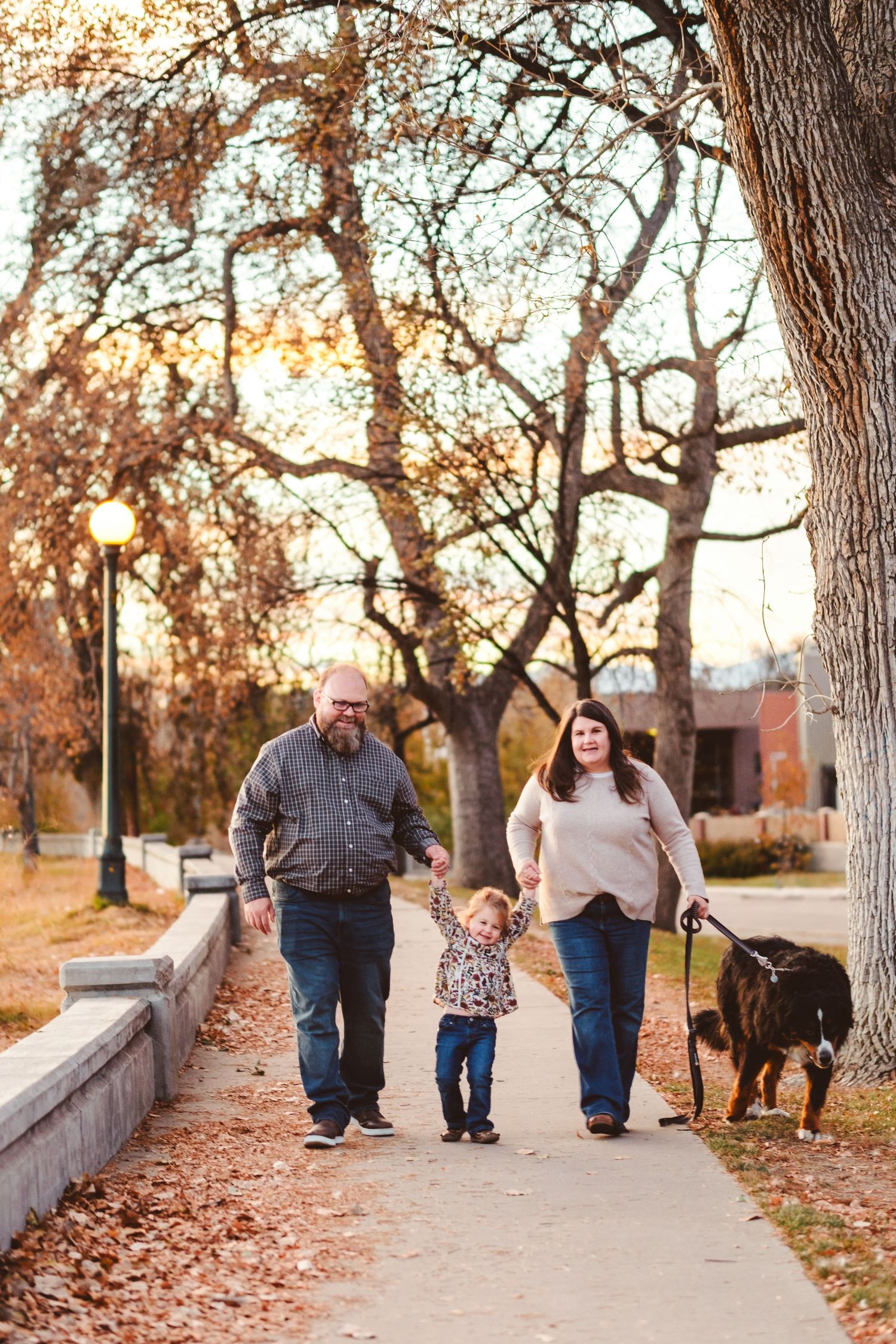 Father, toddler daughter, mother and Bernese Mountain Dog walking on path at City Park, Denver, large trees in background.