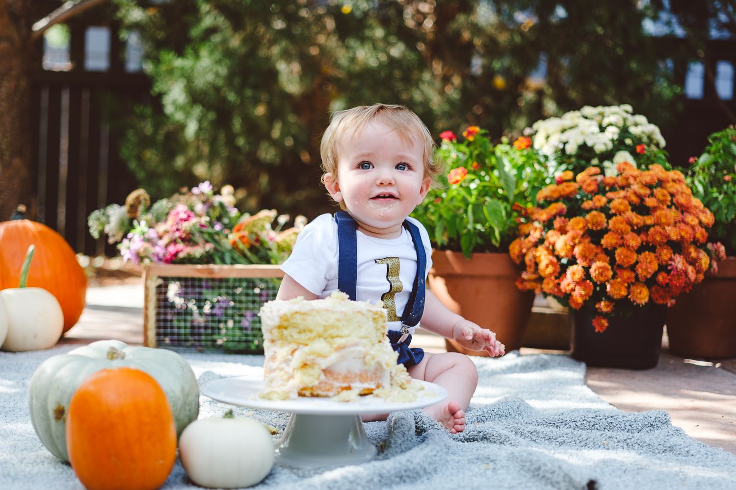 One year old boy at a cake smash, eating vanilla cake off of cake platter in his backyard, surrounded by fall flowers and pumpkins.