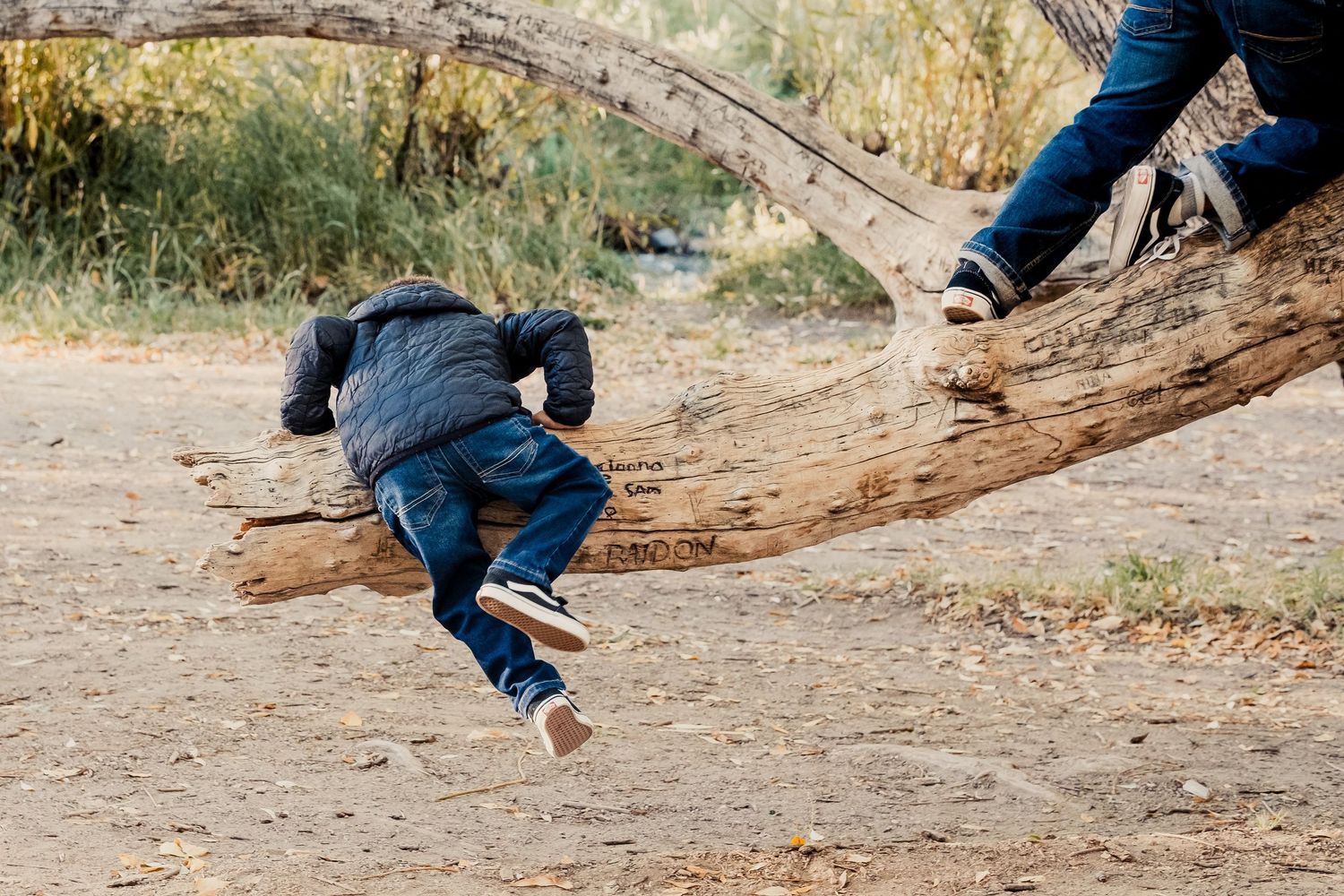 Young boy playfully trying to climb onto a tree branch.