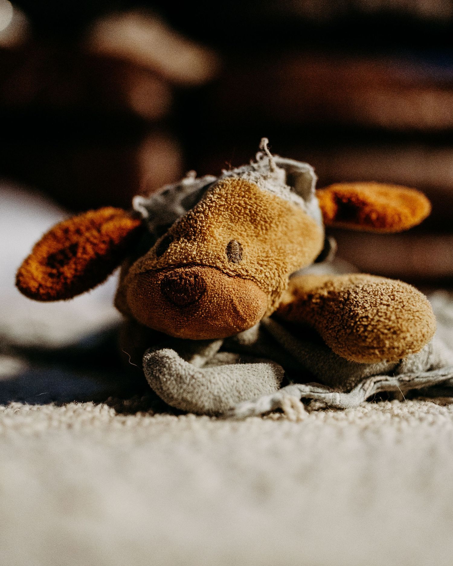 Denver photographer project 365 - well loved, tattered lovey