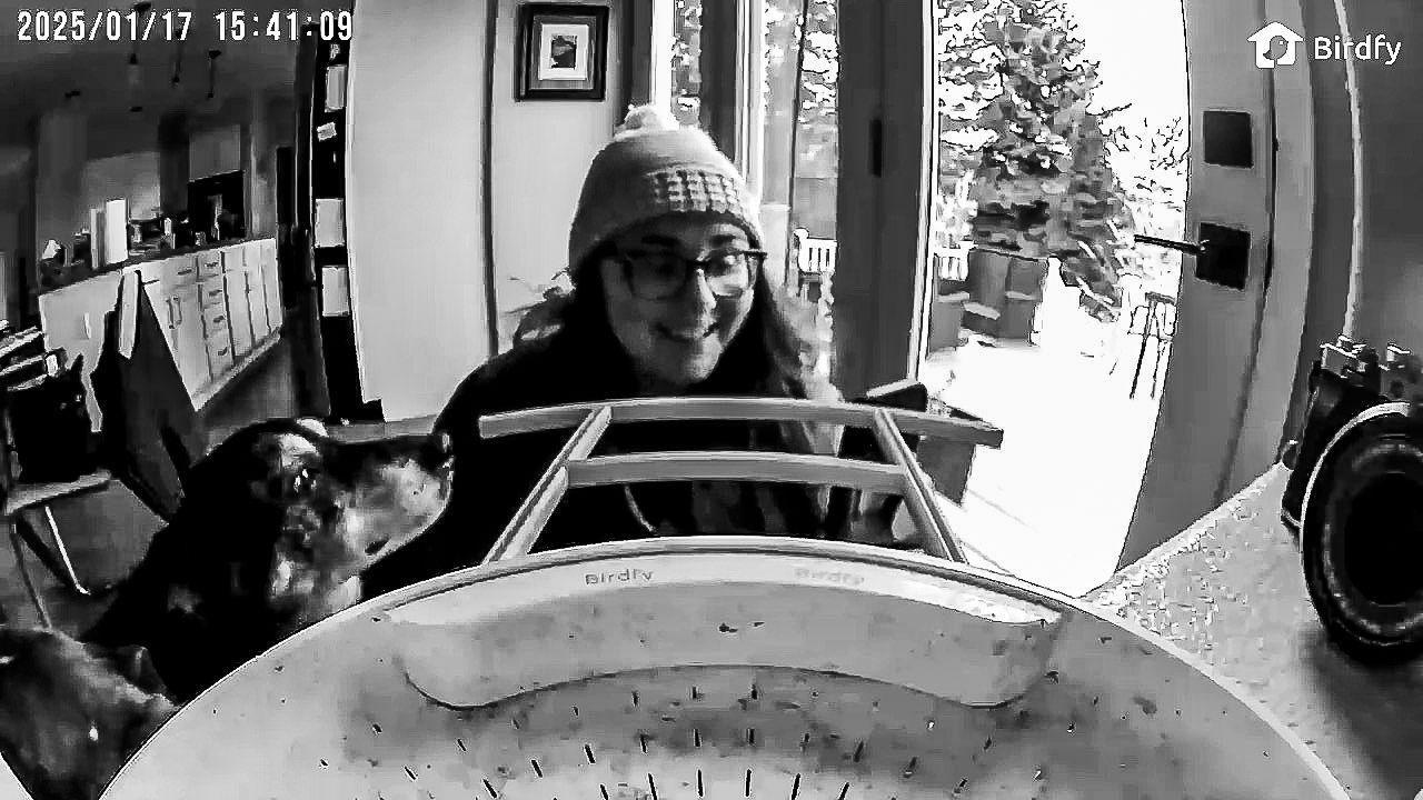 Denver photographer project 365 - birdfy camera selfie