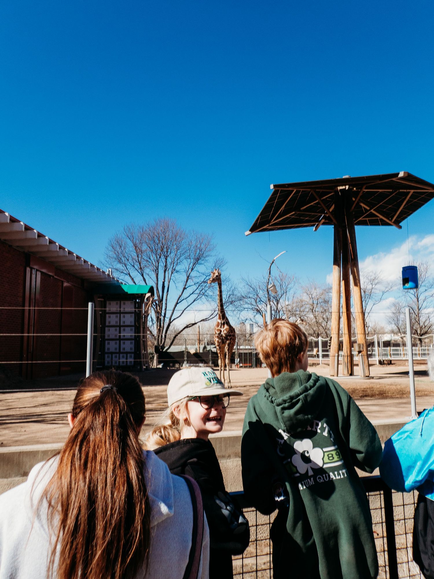 Children looking toward giraffes at zoo.