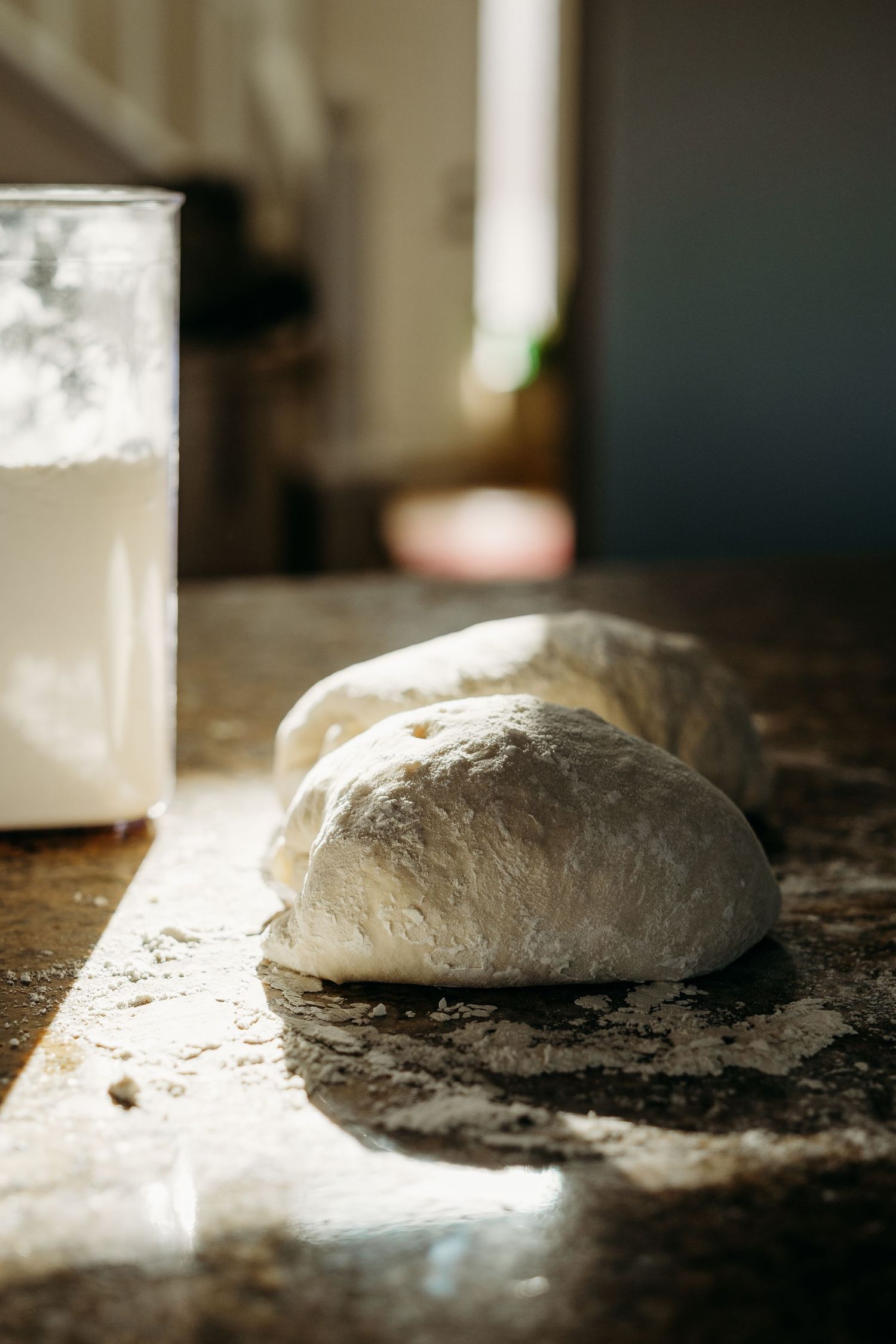 Denver photographer project 365 - sourdough resting