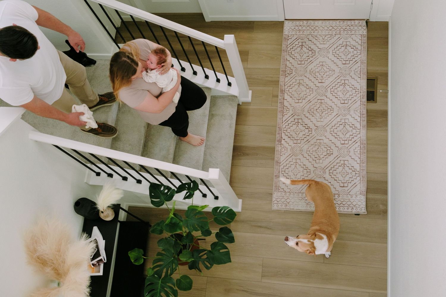 Overhead view of mother and father walking down staircase, mother holding newborn boy, two dogs visible around parents.
