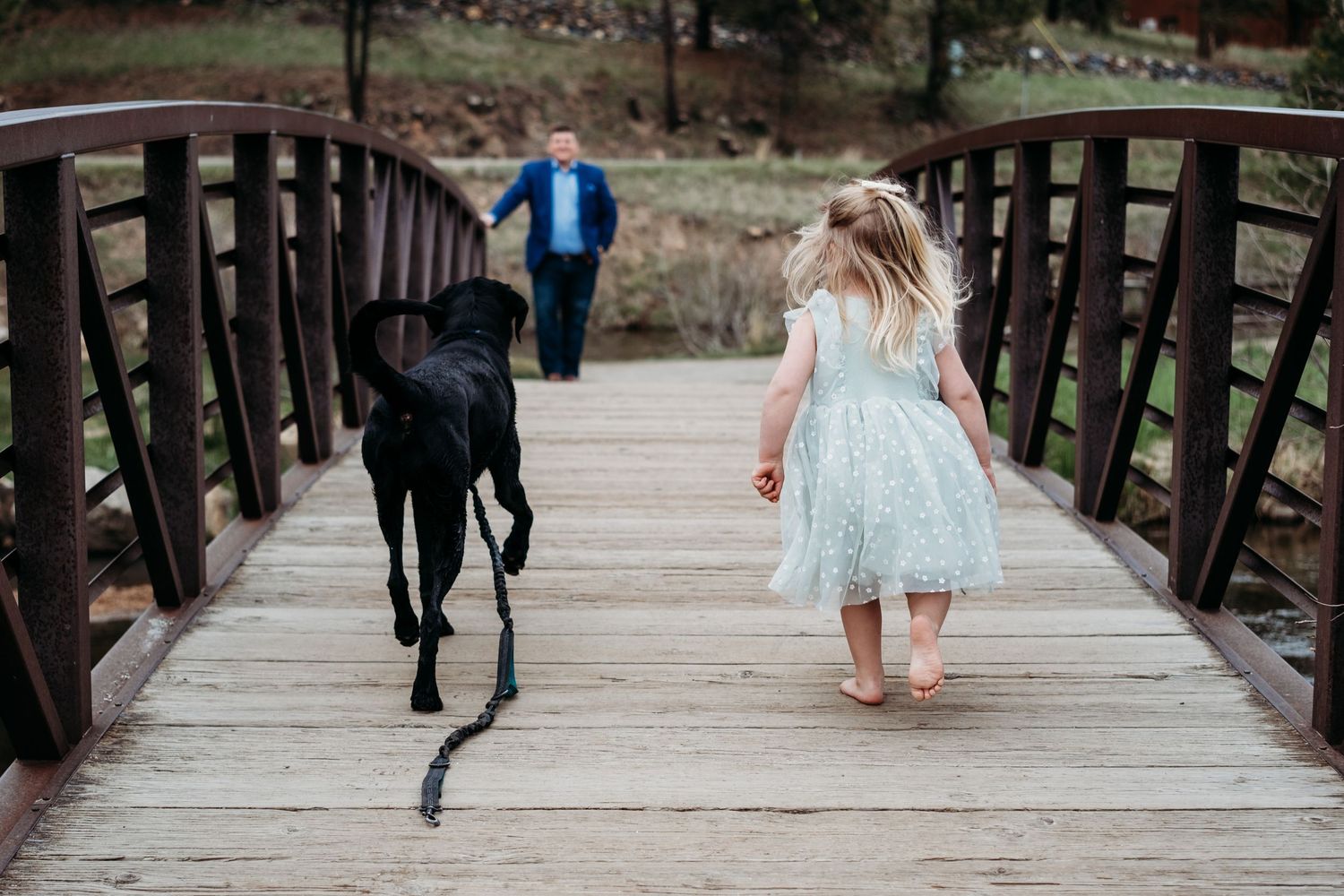 Toddler girl and black lab walking over bridge, toward father waiting on the other side.