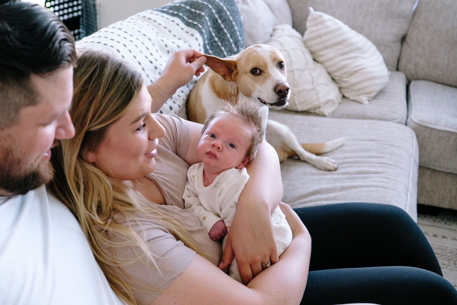 Father and mother snuggling on couch, mother holding newborn, father playfully petting dog's ear during Denver in-home photo session