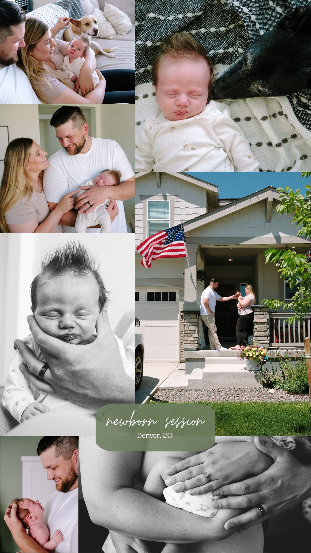 Collage of newborn photo sessions.