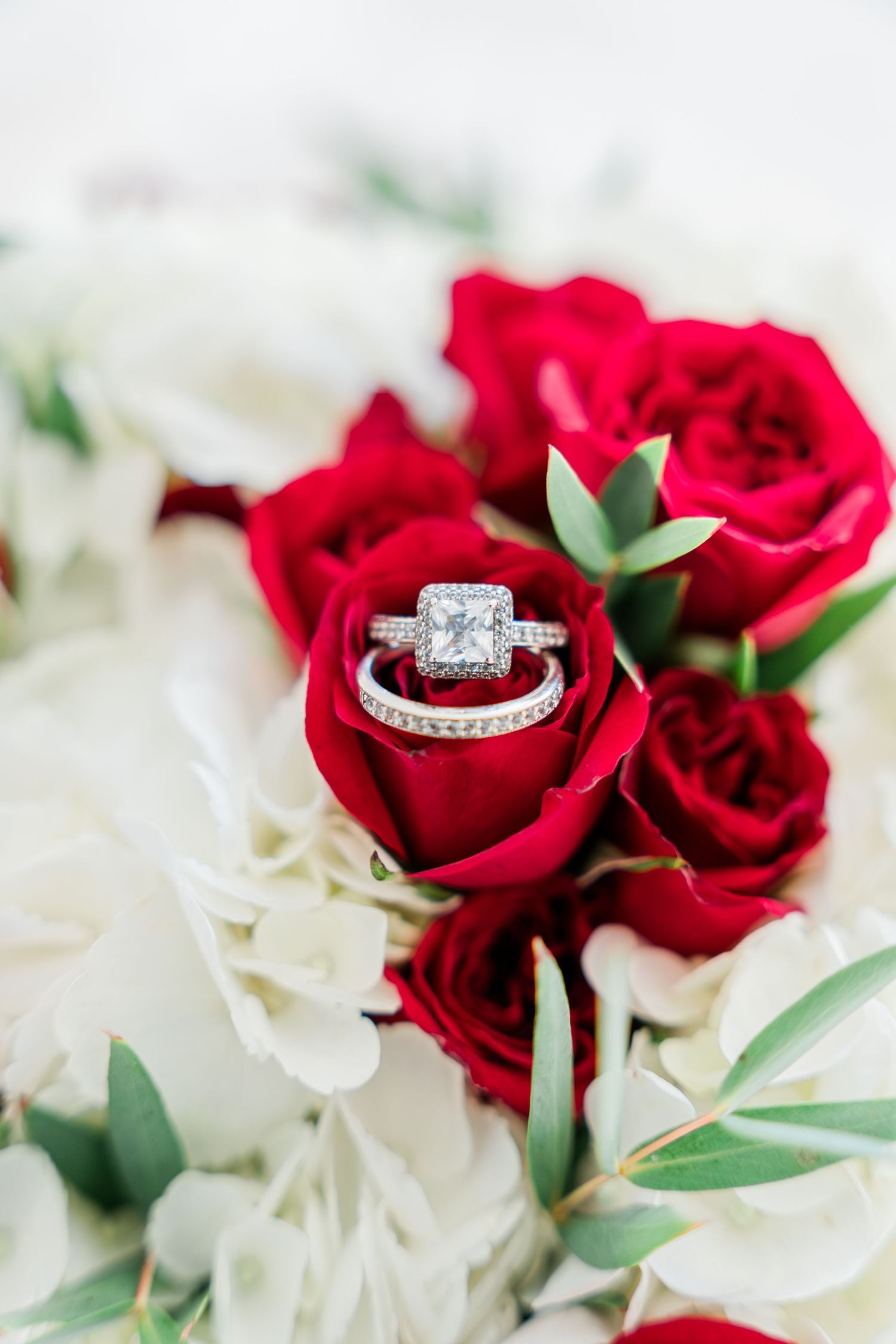 Diamond engagement ring nestled in red and white roses with delicate greenery.