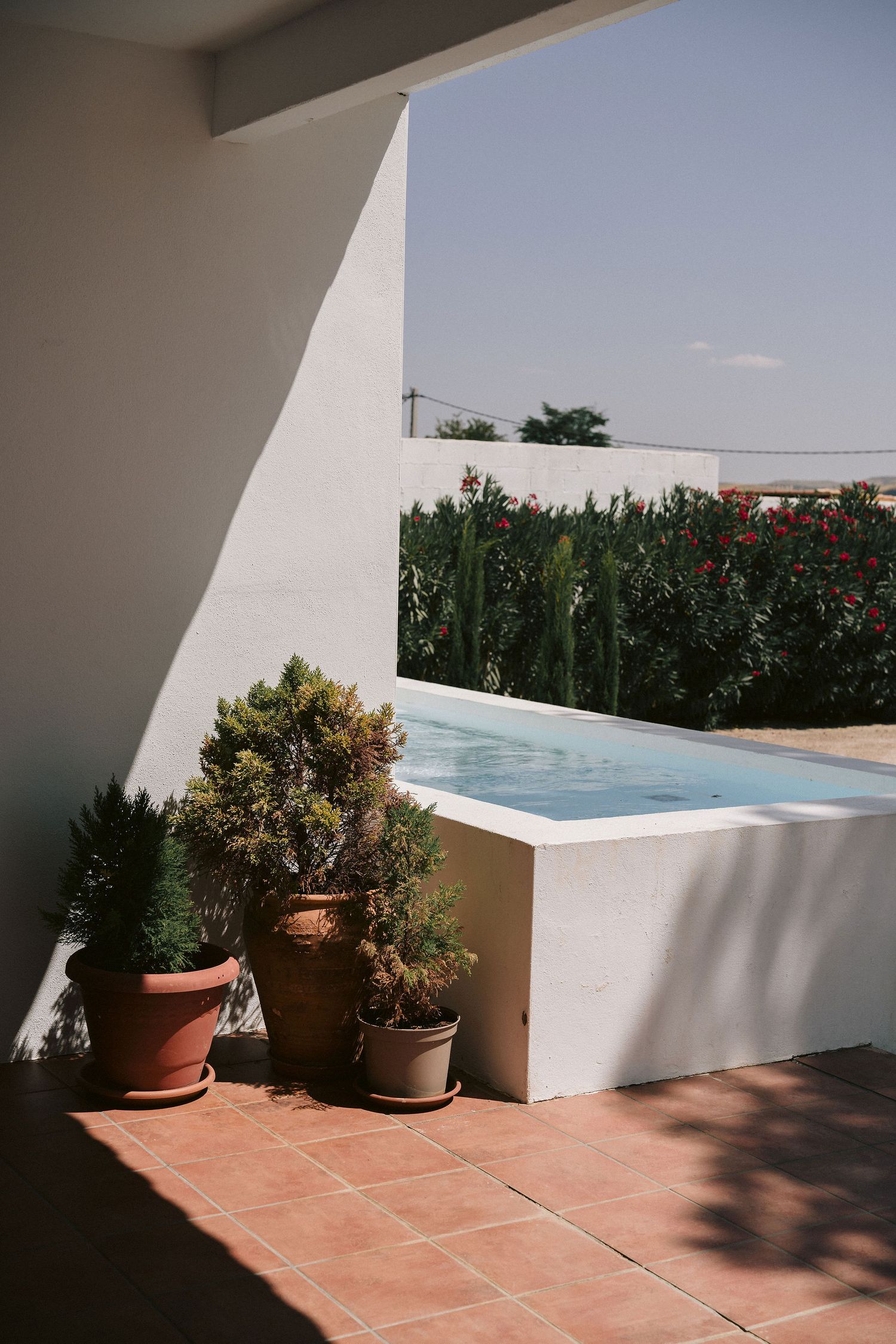 A modern terrace with white walls features a small plunge pool and terracotta potted plants on tiled flooring.