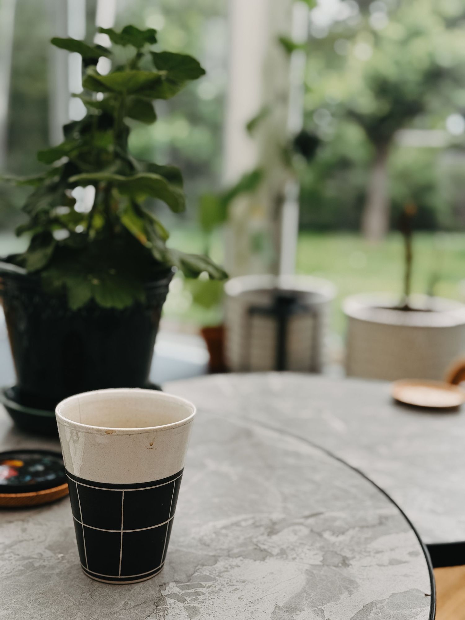 Three white ceramic cups positioned on a textured grey surface, with potted houseplants visible in the background.