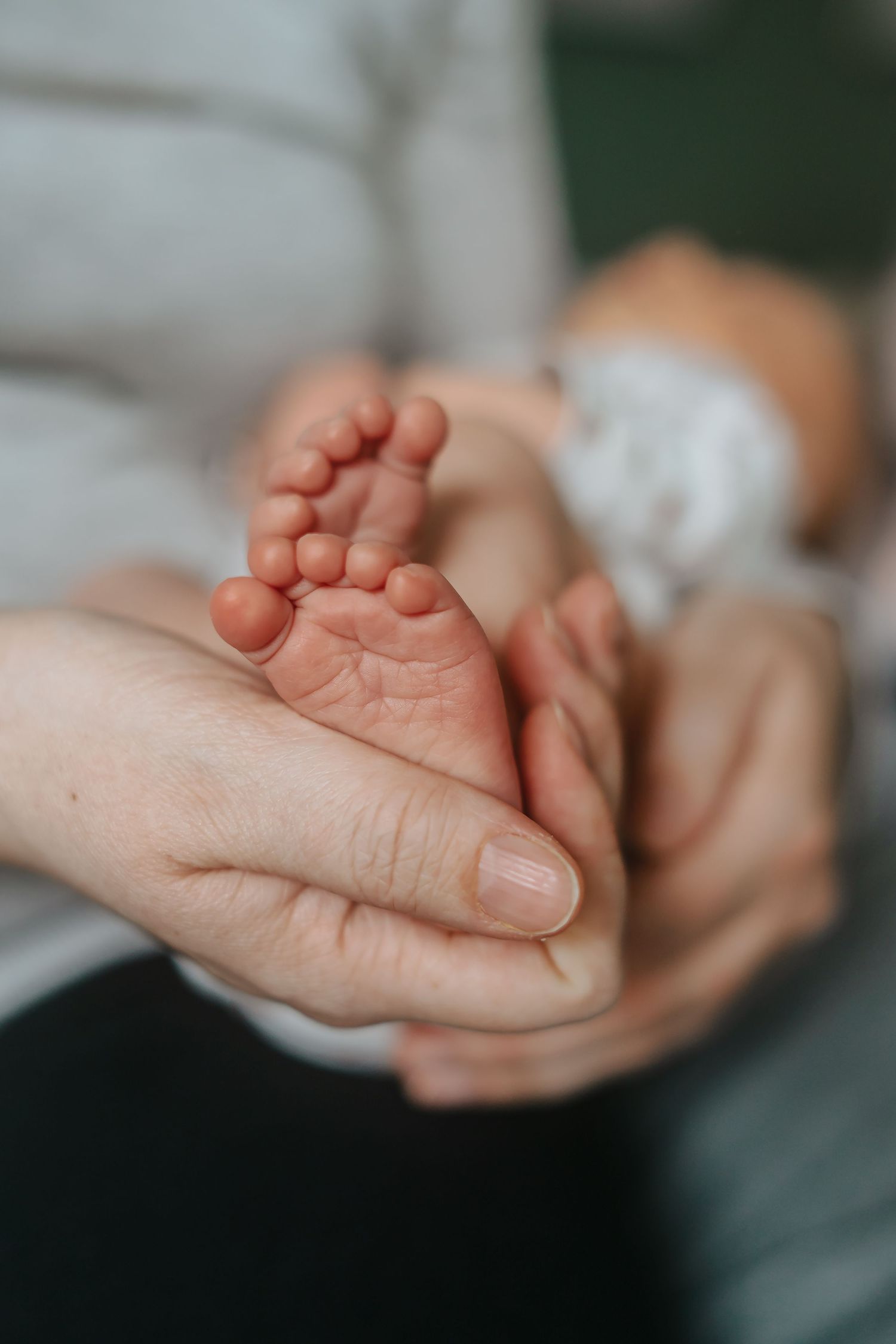 Close-up shot of tiny newborn baby feet being held in gentle hands.