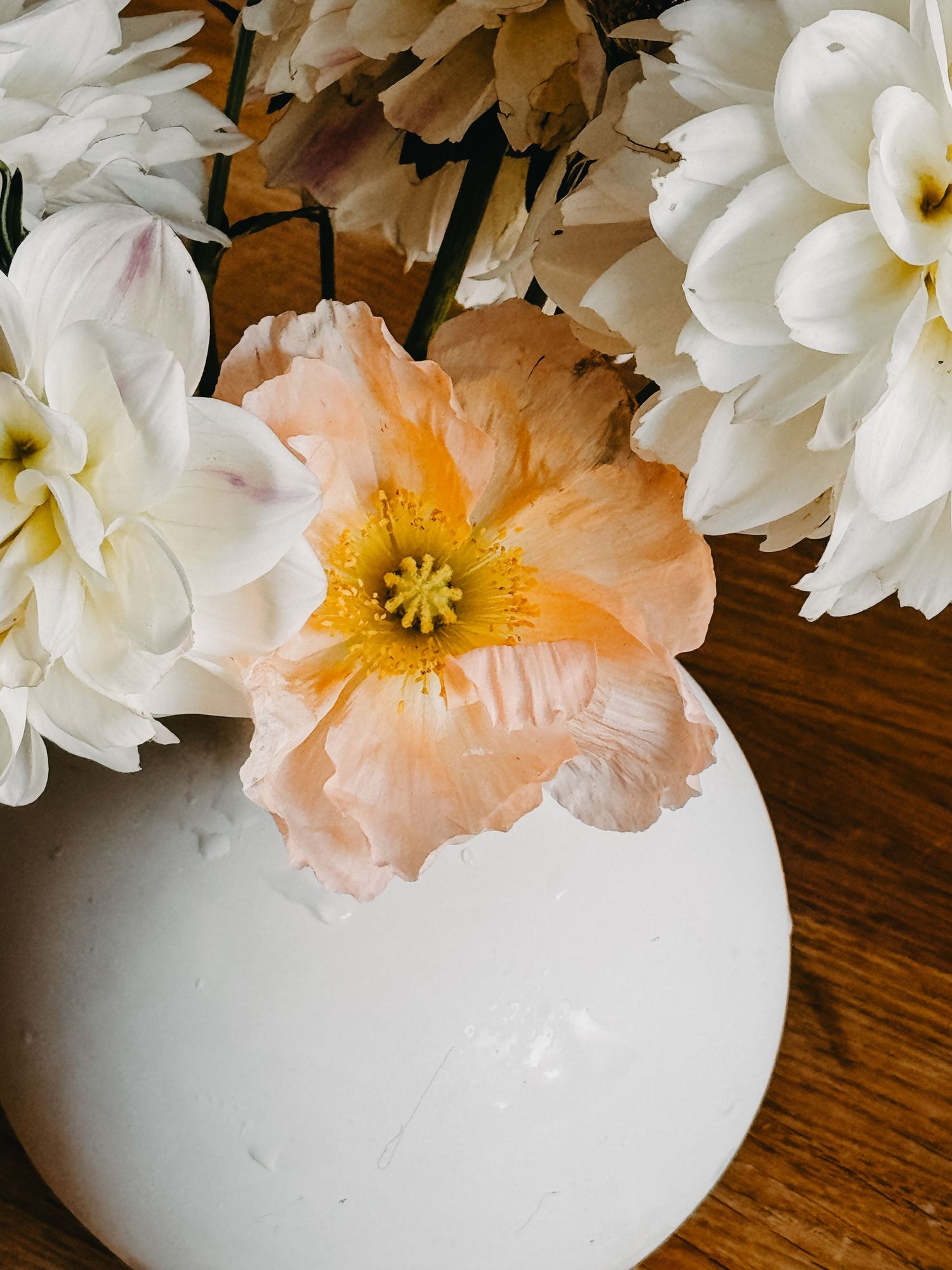 Delicate peach-colored poppy and white dahlias arranged in a white ceramic vase on a wooden surface.