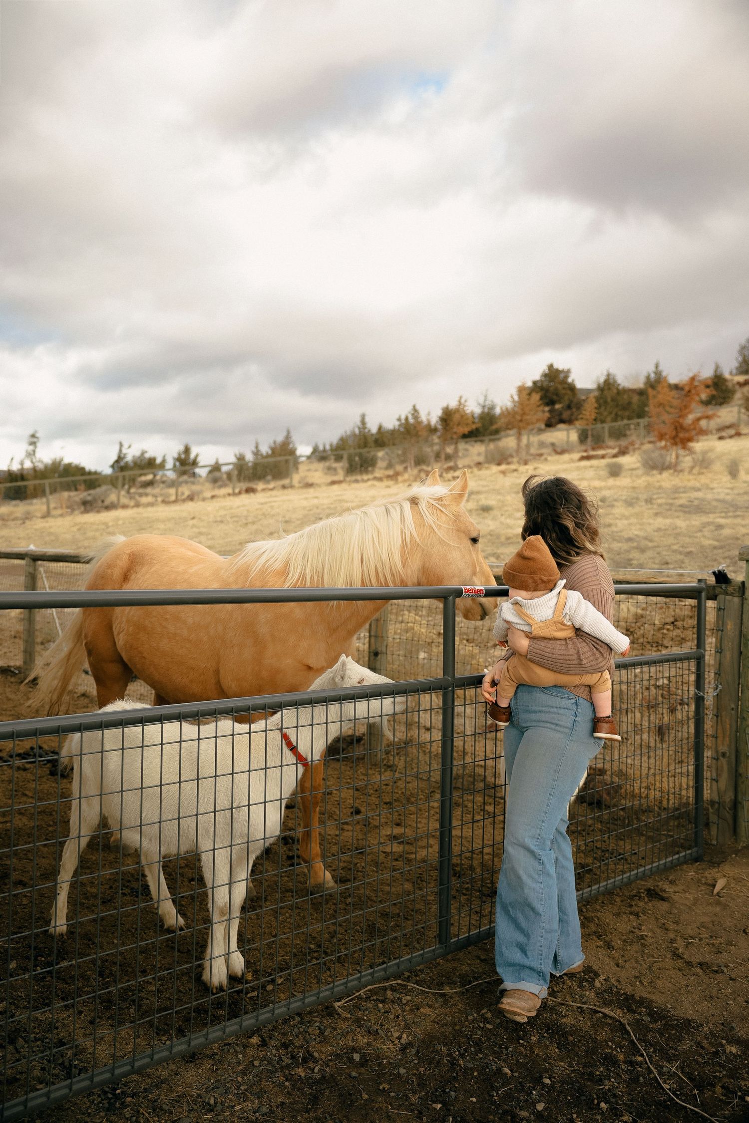 A woman pets a palomino horse and white goat through a wire fence on a rural hillside.
