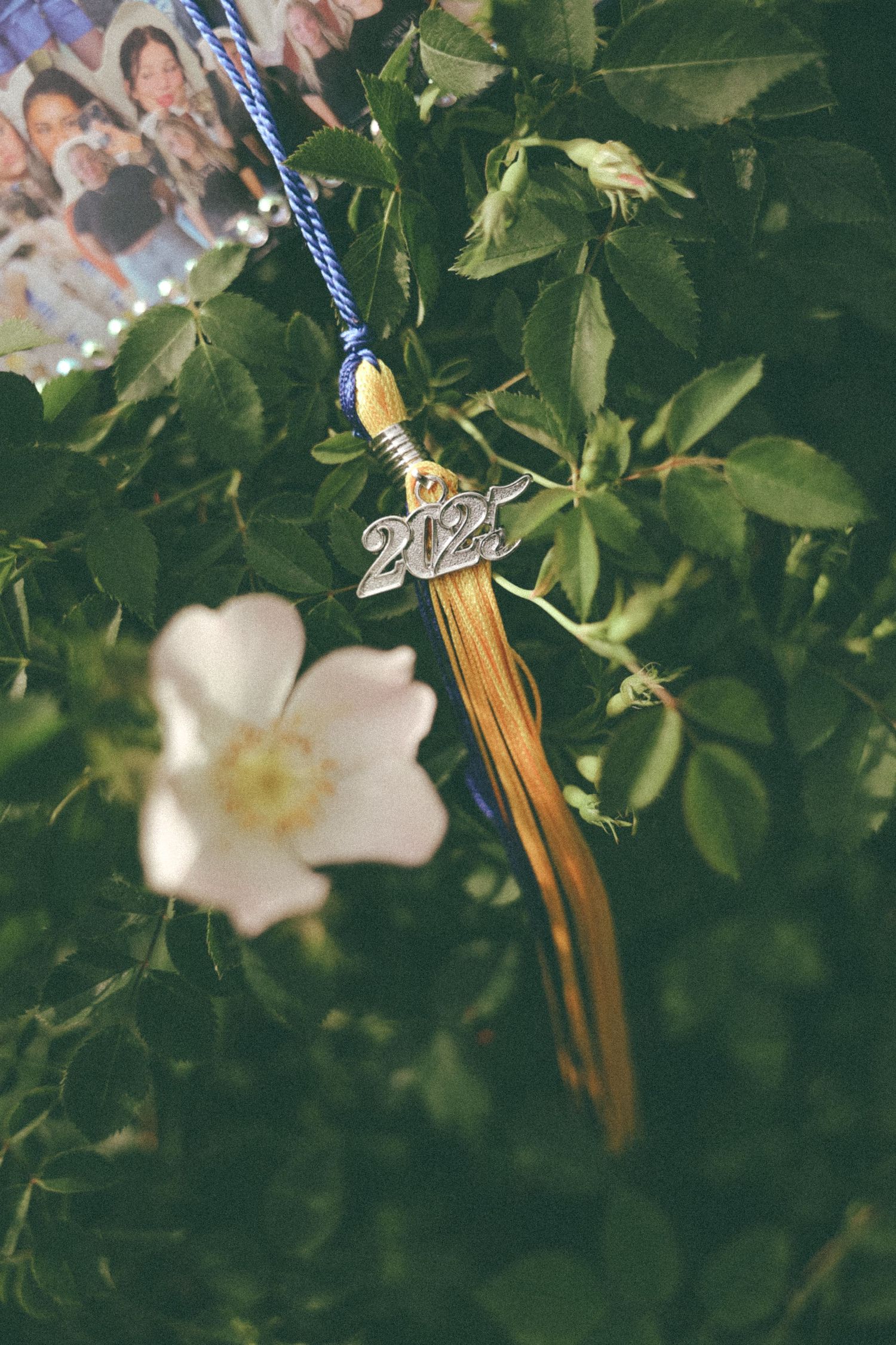Graduation tassel with 2022 charm hanging against green leaves and white flower backdrop.