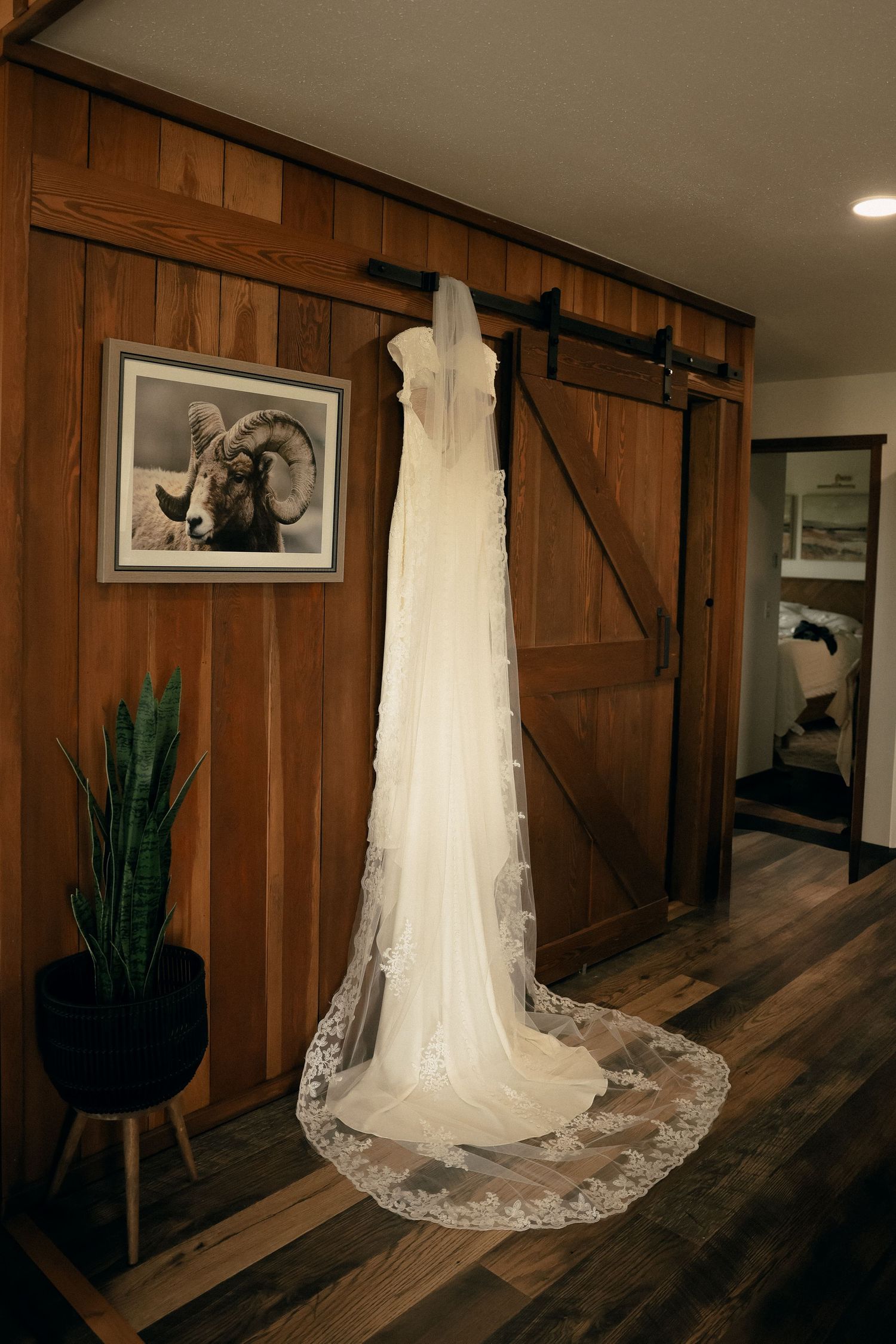 A white wedding dress with lace trim and long train hangs on a rustic wooden barn door wall next to a potted plant.