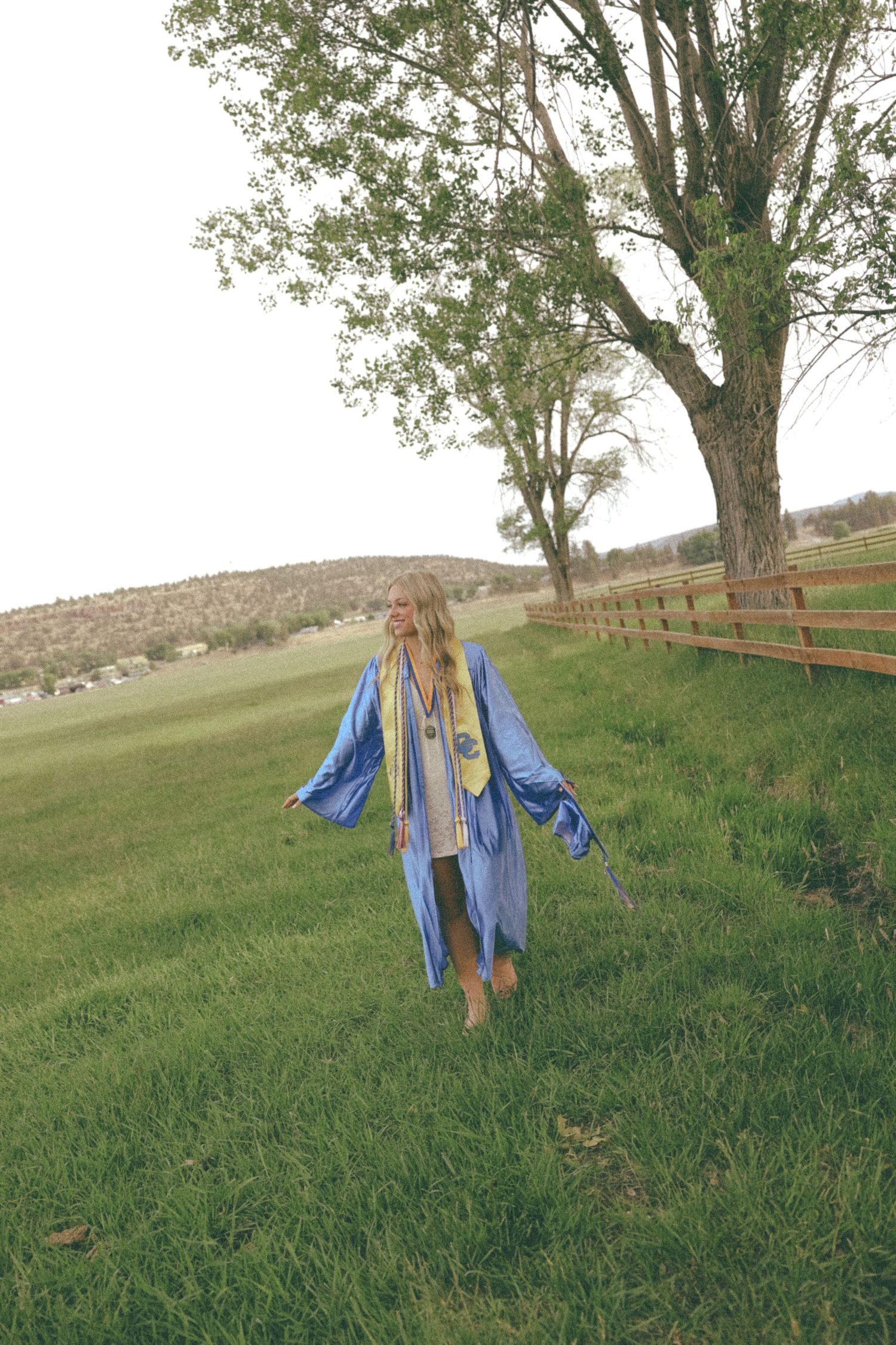 Figure in a blue dress stands gracefully in a grassy field with large trees in the background.