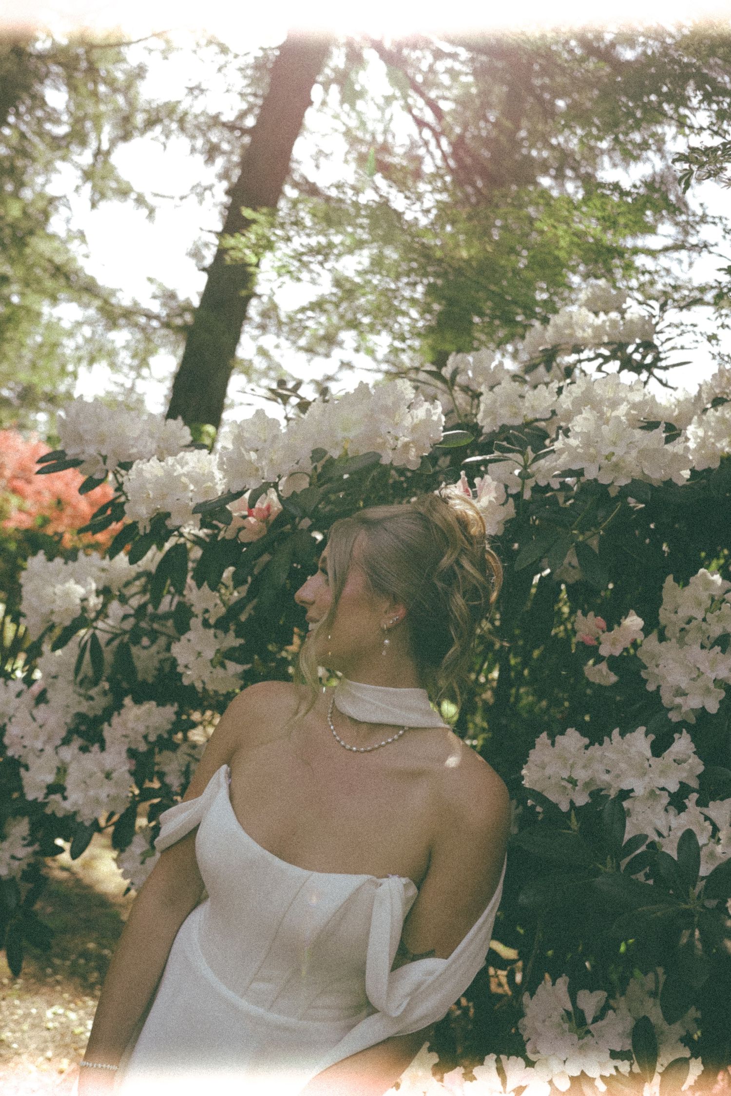 Artistic bridal portrait among blooming white flowers with sunlight filtering through trees.