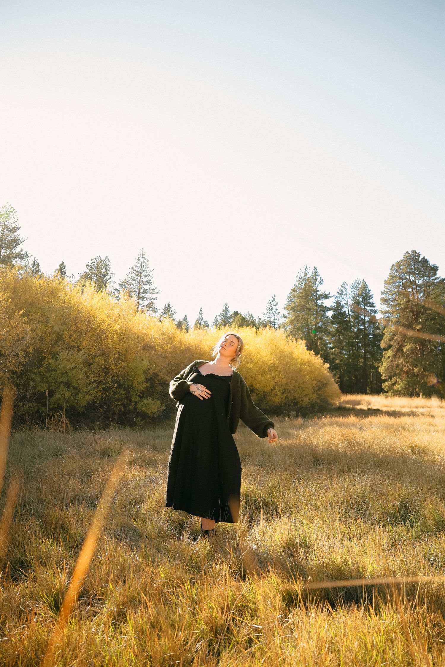 Person in black dress standing in golden field with evergreen trees in background.