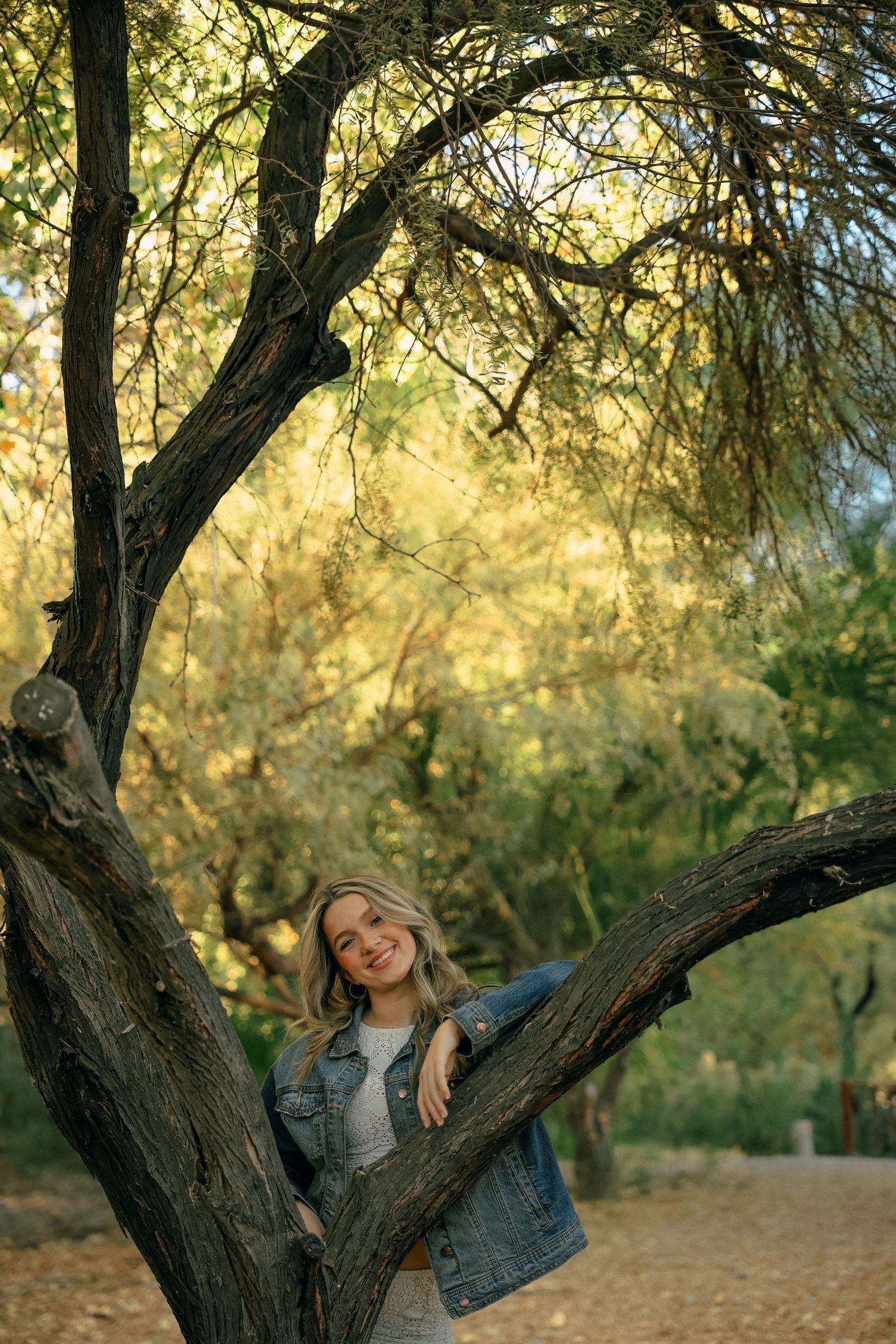 A person smiles while sitting in the branches of a large tree at sunset.
