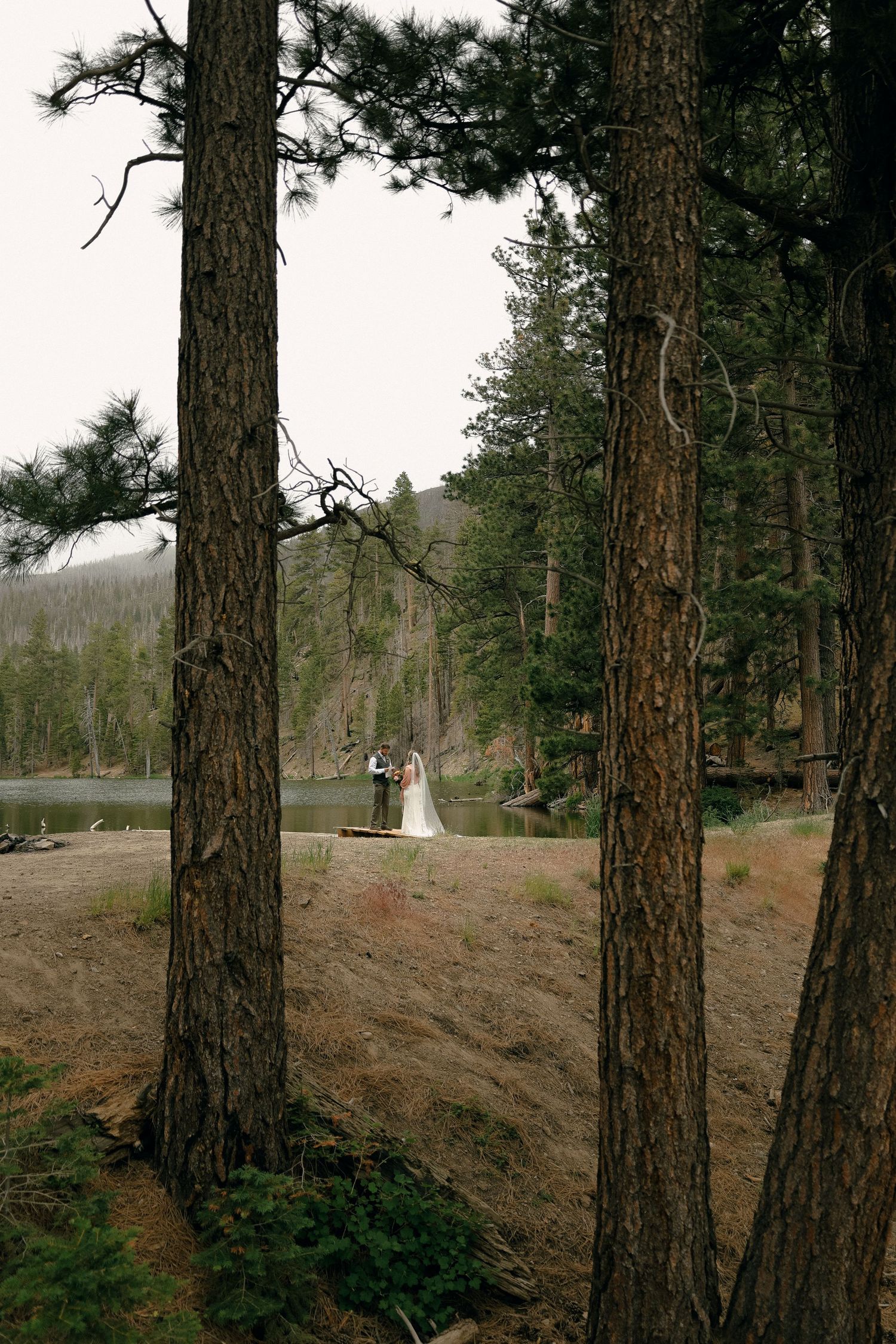 A couple stands among tall pine trees near a lake on a misty, atmospheric wedding day.