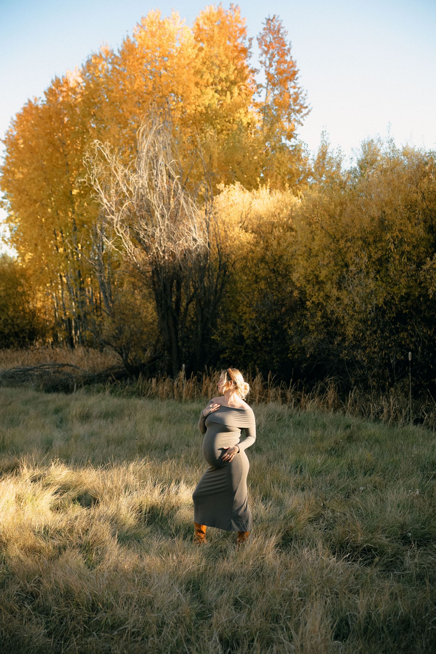 A maternity portrait in a field with golden autumn trees in the background.
