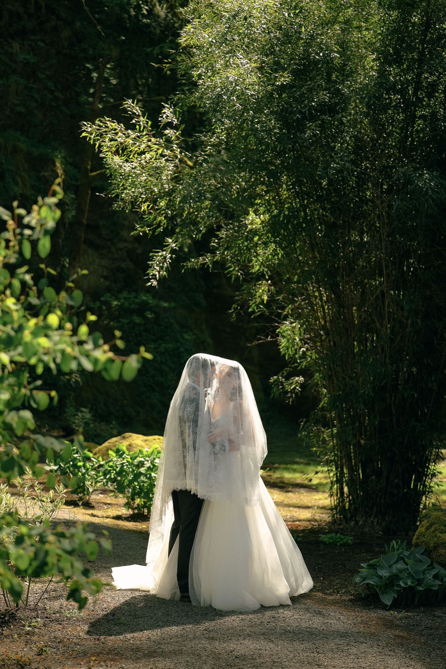 Dreamy wedding photo of couple embracing under trees in a garden path.