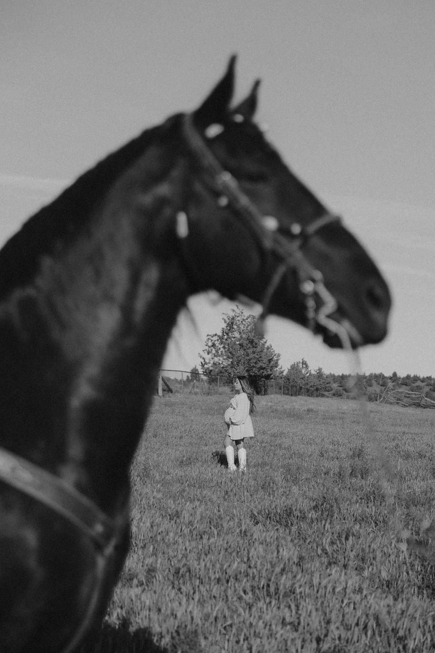 A dramatic black and white photo of a horse in a field with figures in the background.