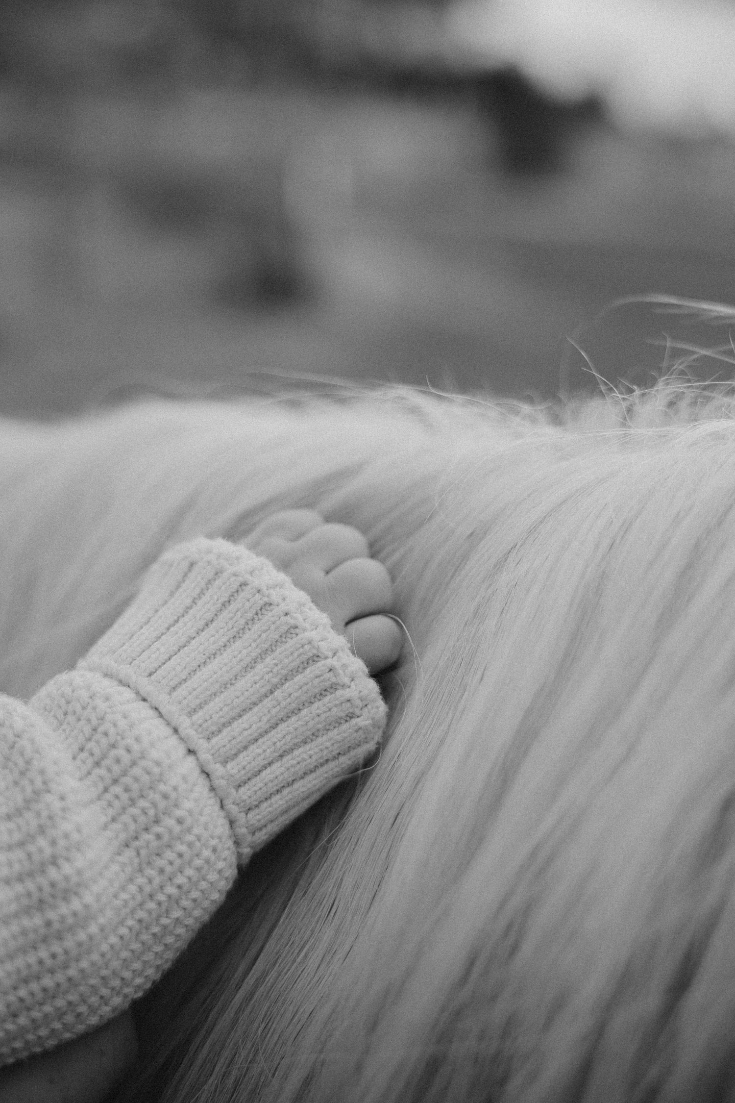 A close-up black and white shot of a hand in knit sleeve touching soft fur.