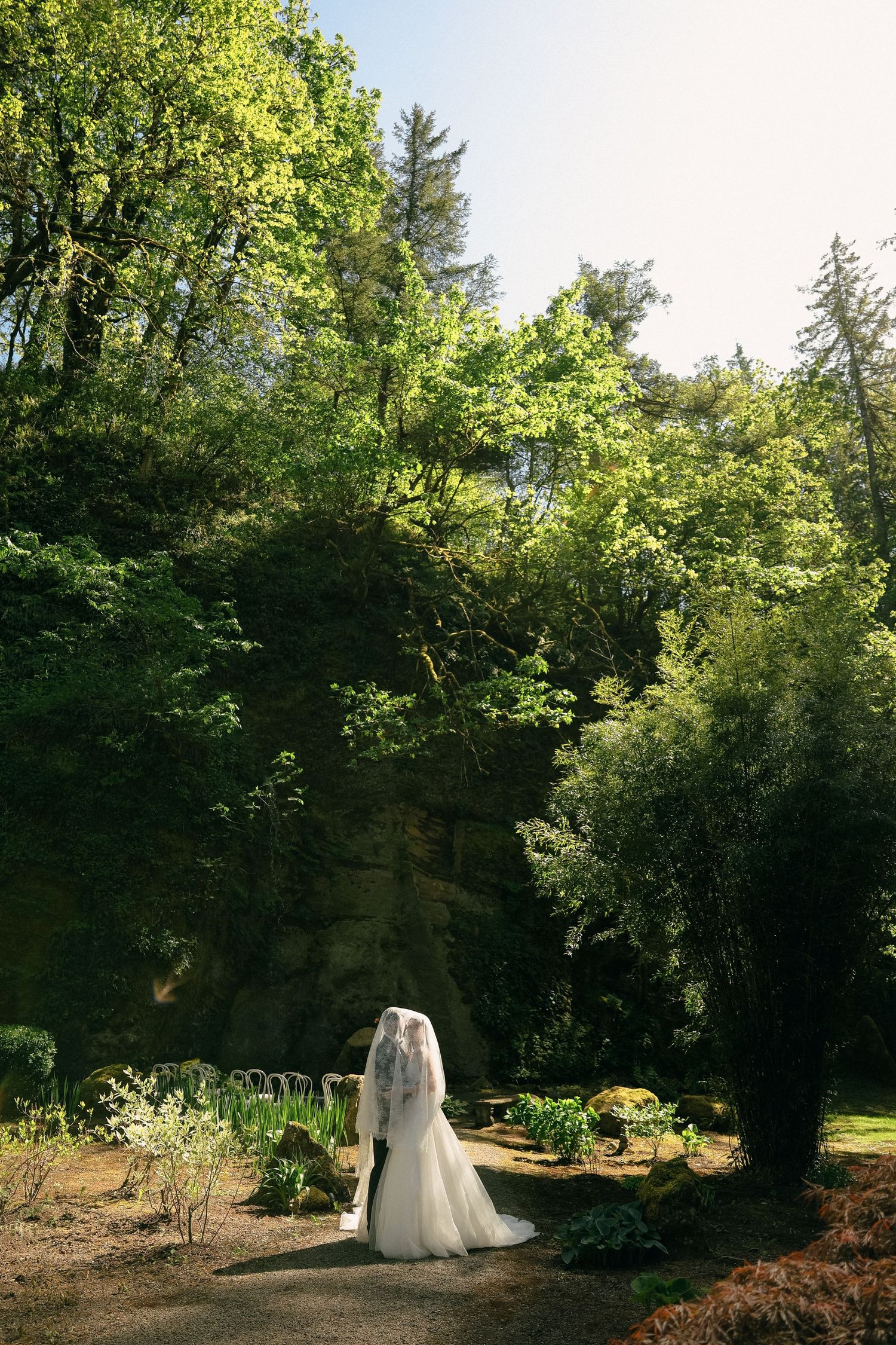 A wedding dress silhouette against a lush forest backdrop with tall trees.